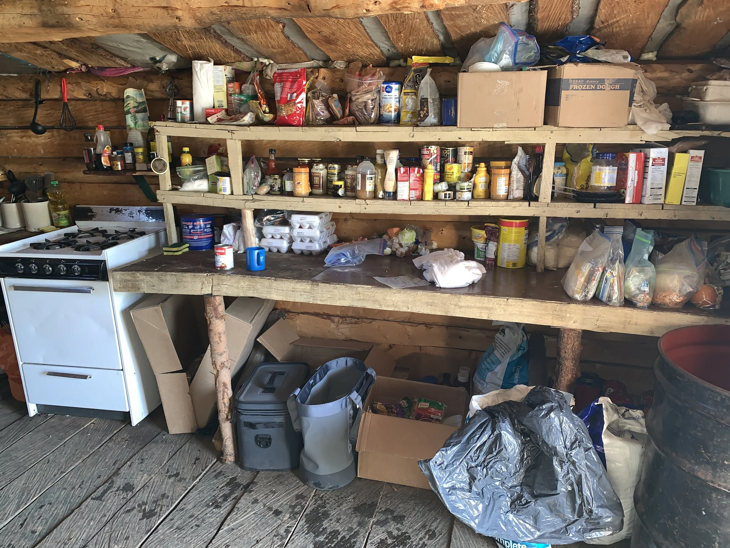 Logan Young - 4A69CFEF-68C8-4F44-B44B-6B2D6B93DF22.jpeg