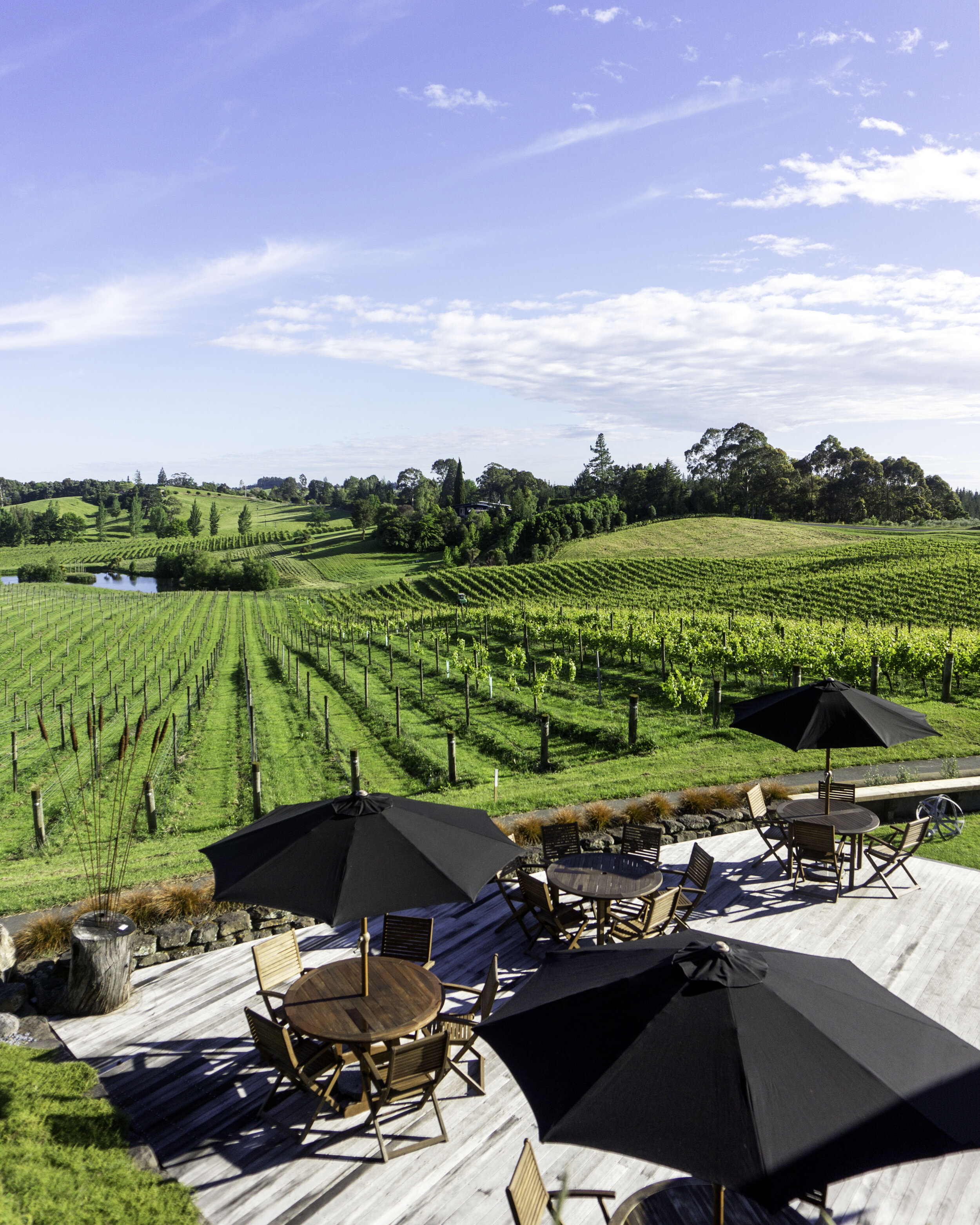 Gravity Winery and Cellar Door