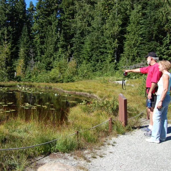 Cypress-Yew Lake-Gail Ross-4.jpg