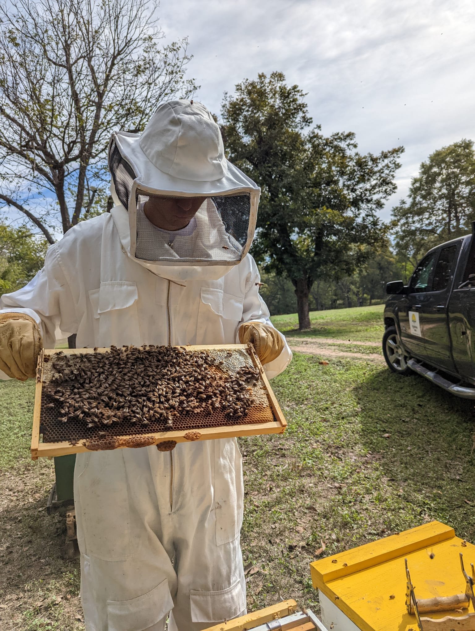 Daniel beekeeping.jpeg