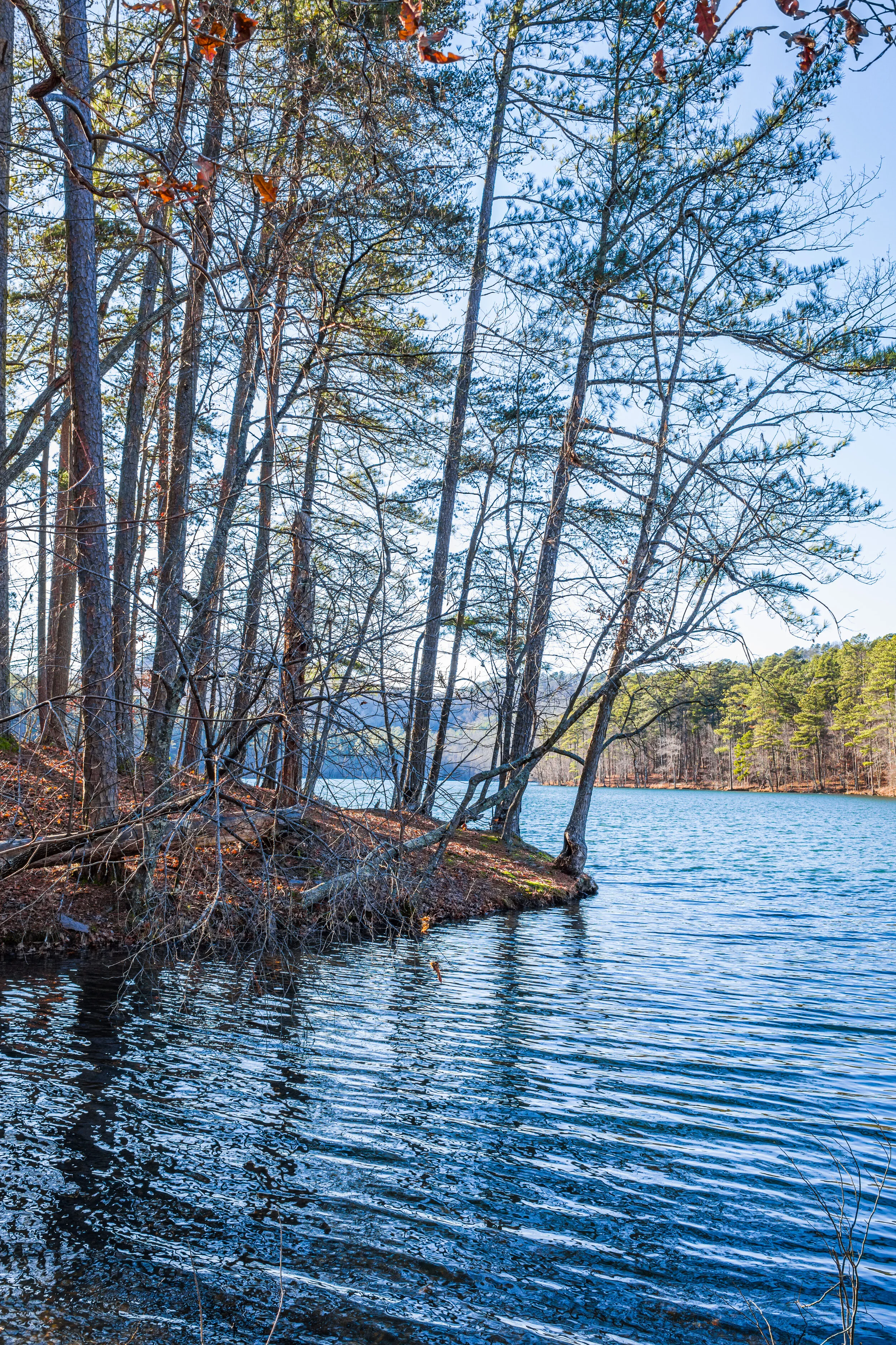 Lavender Mountain Reservoir
