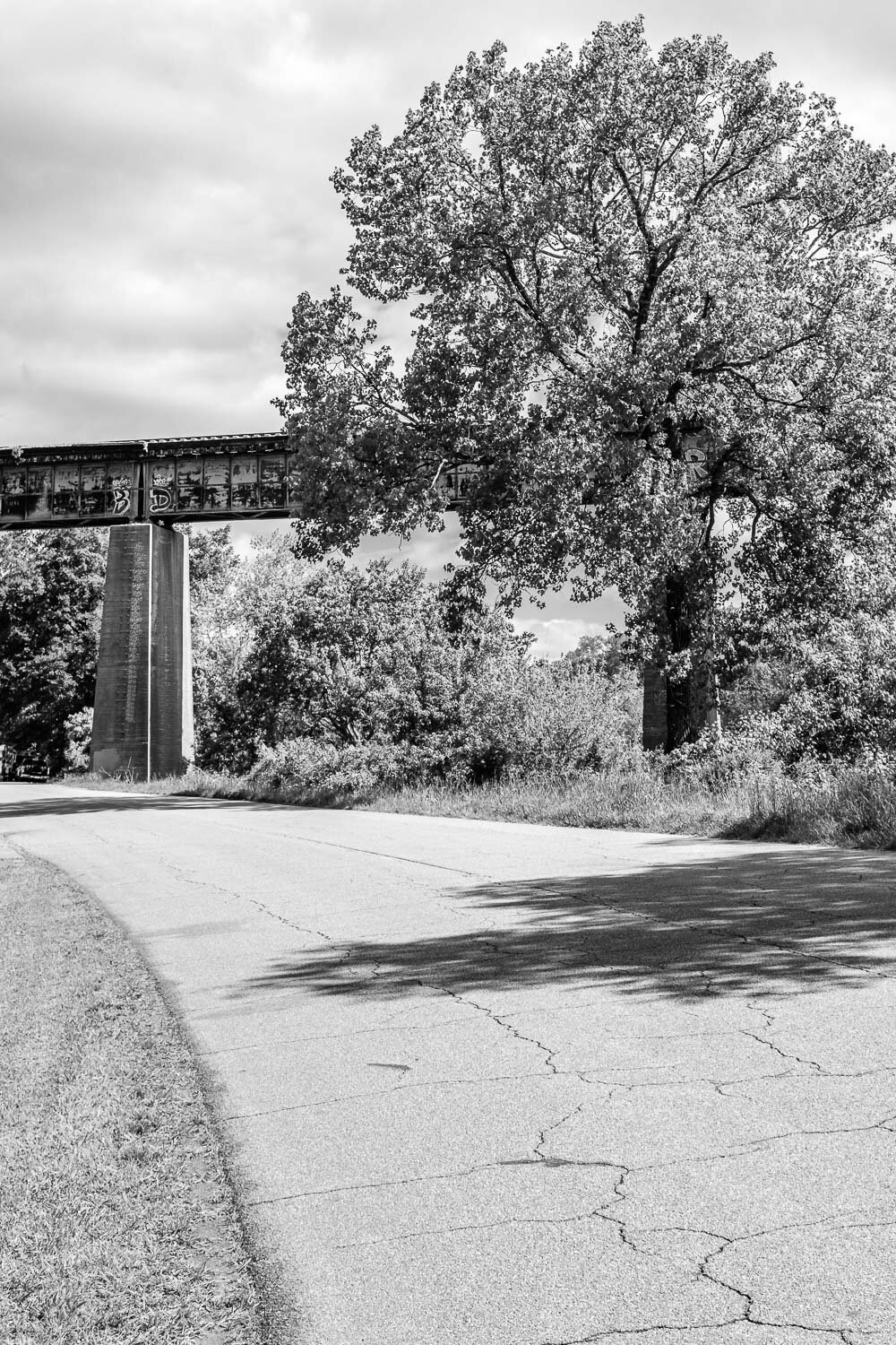 Tree and Trestle