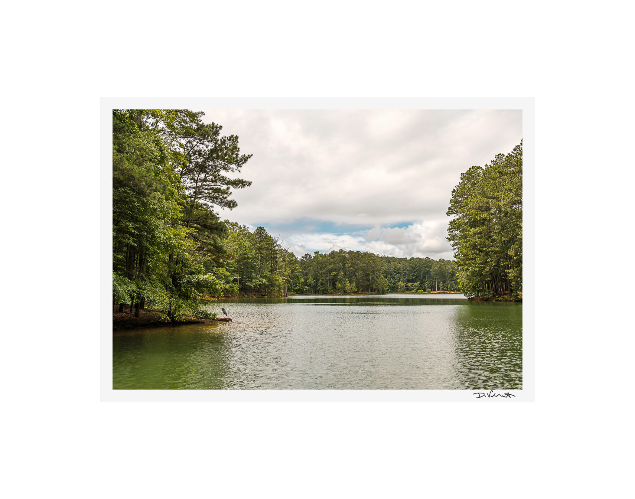 2020nature-321.jpg