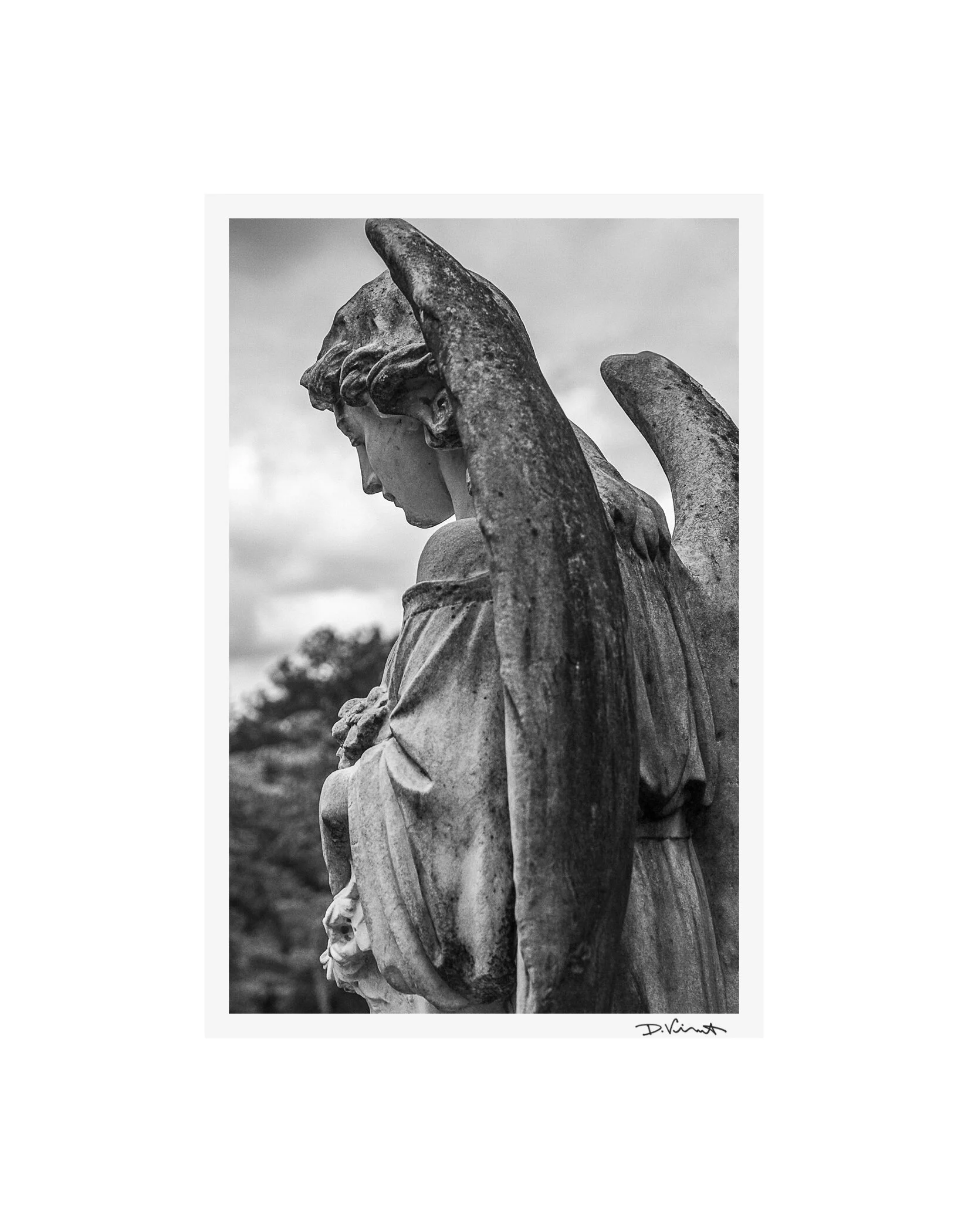 2017cemetery-1.jpg
