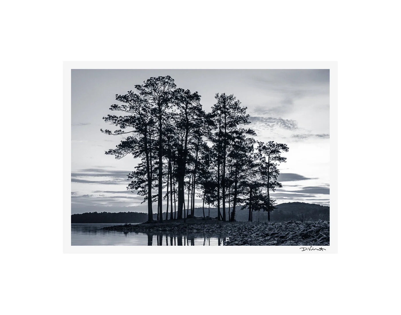 2018nature-1.jpg