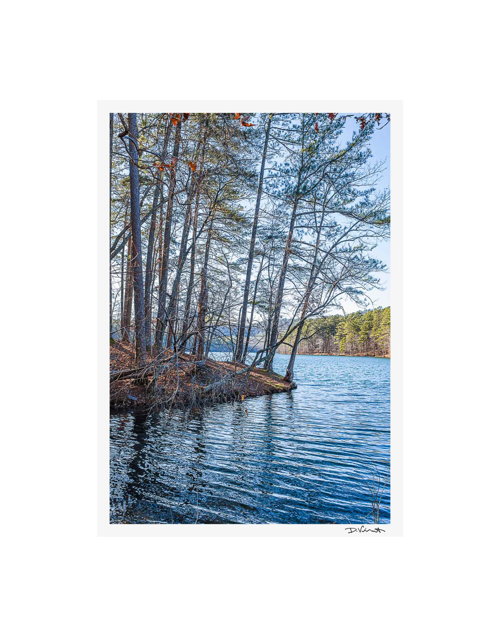 2019nature-2.jpg