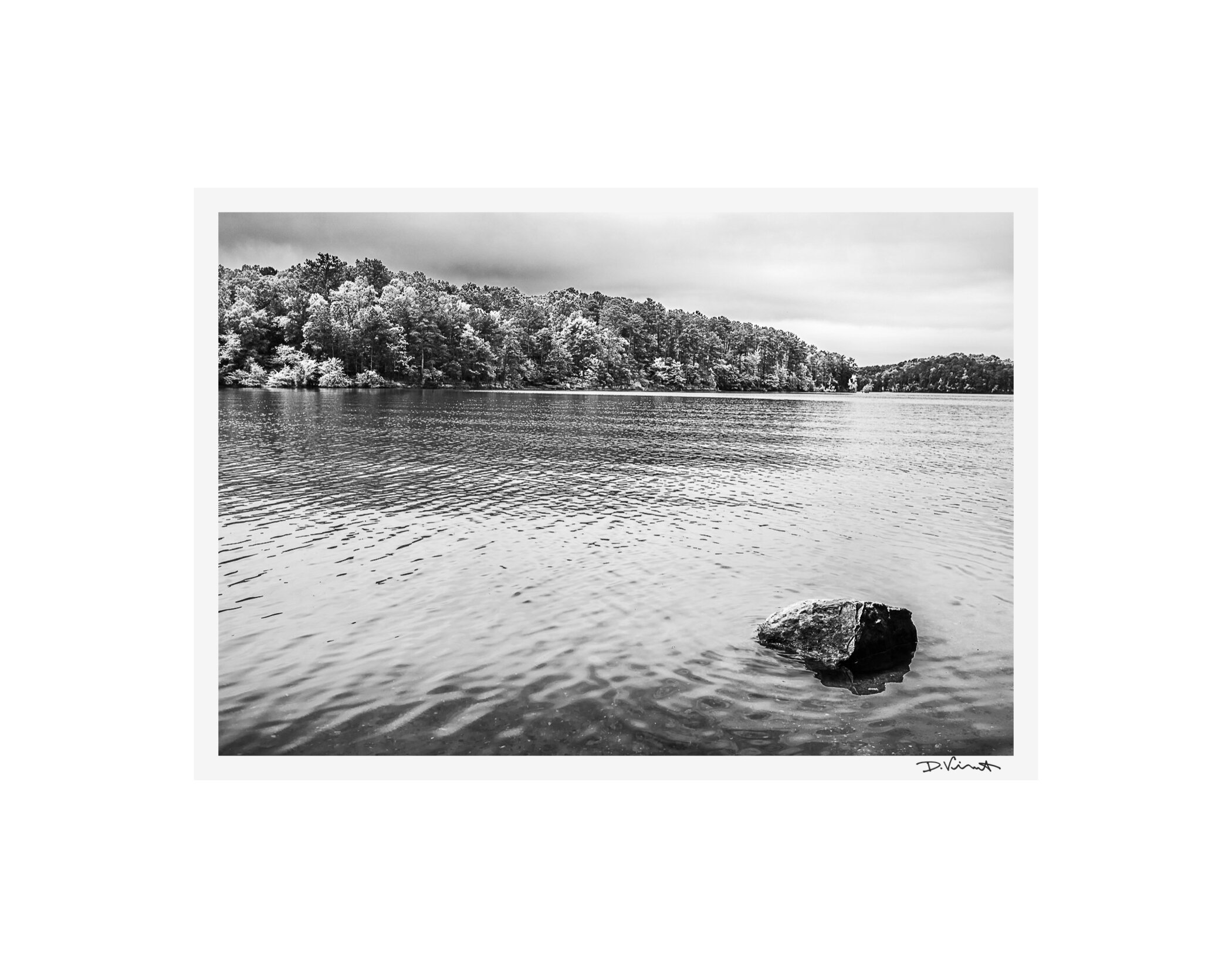 2020nature-127.jpg