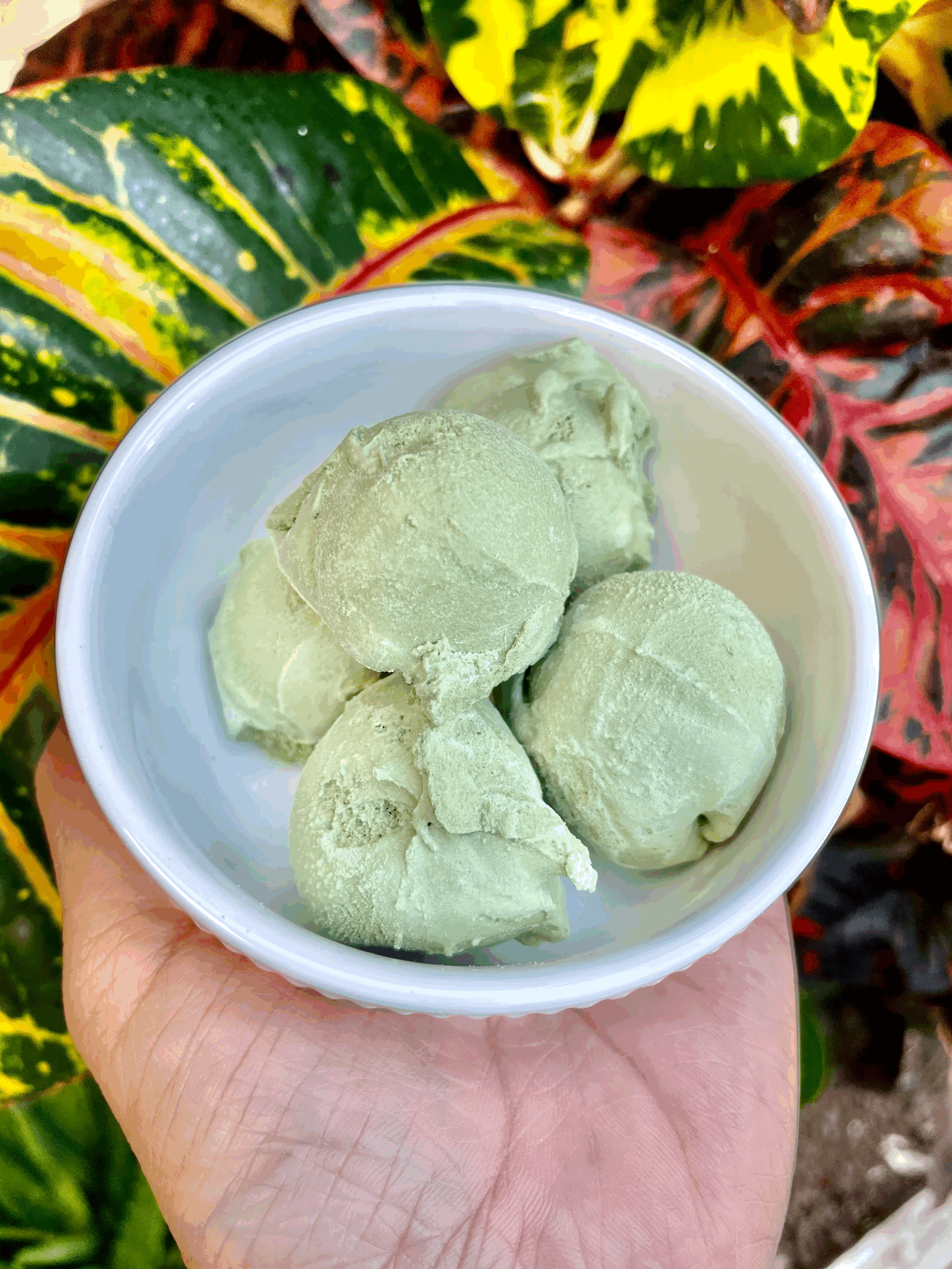 Frost Bites Shop Holomua Kitchen LLC