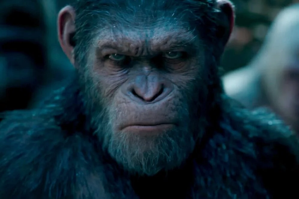 Planet of the Apes.jpg