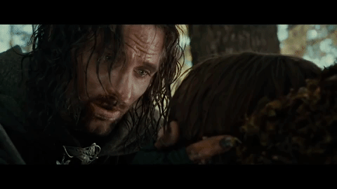 Aragorn and Boromir.gif