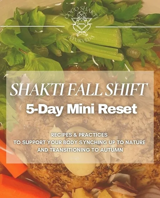 Available NOW✨ SHAKTI FALL SHIFT 

a lil vata pacifying guide to ground and nourish before the holidays get started! 

A self-paced, 5-7 day Vata pacifying reset designed to align your bio-rhythms with nature and ground your energy during the fall ti