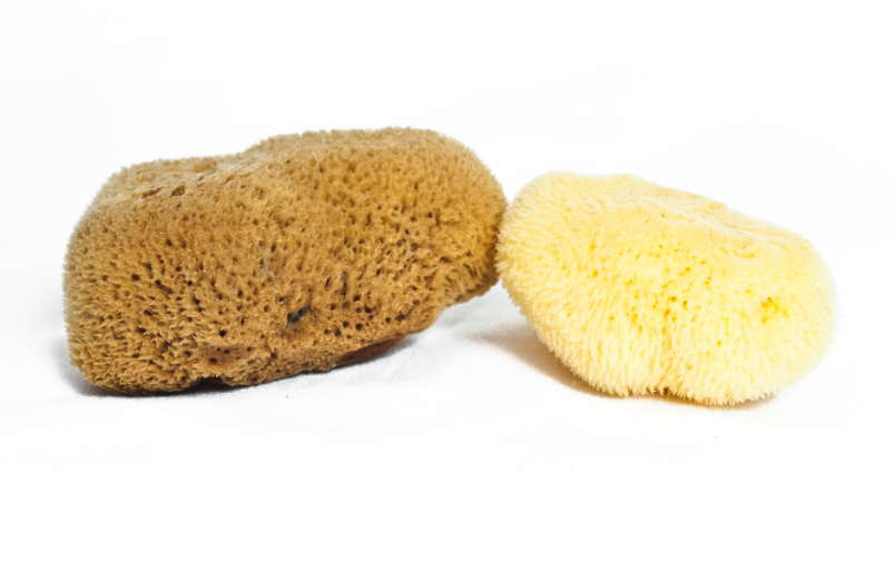 MEEKA Fine Silk Mini Sea Sponge