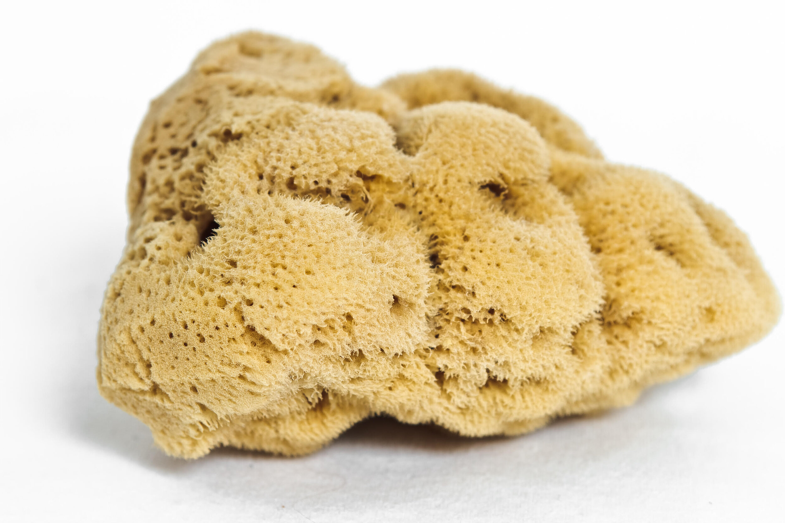 MEEKA Fine Silk Face Sea Sponge