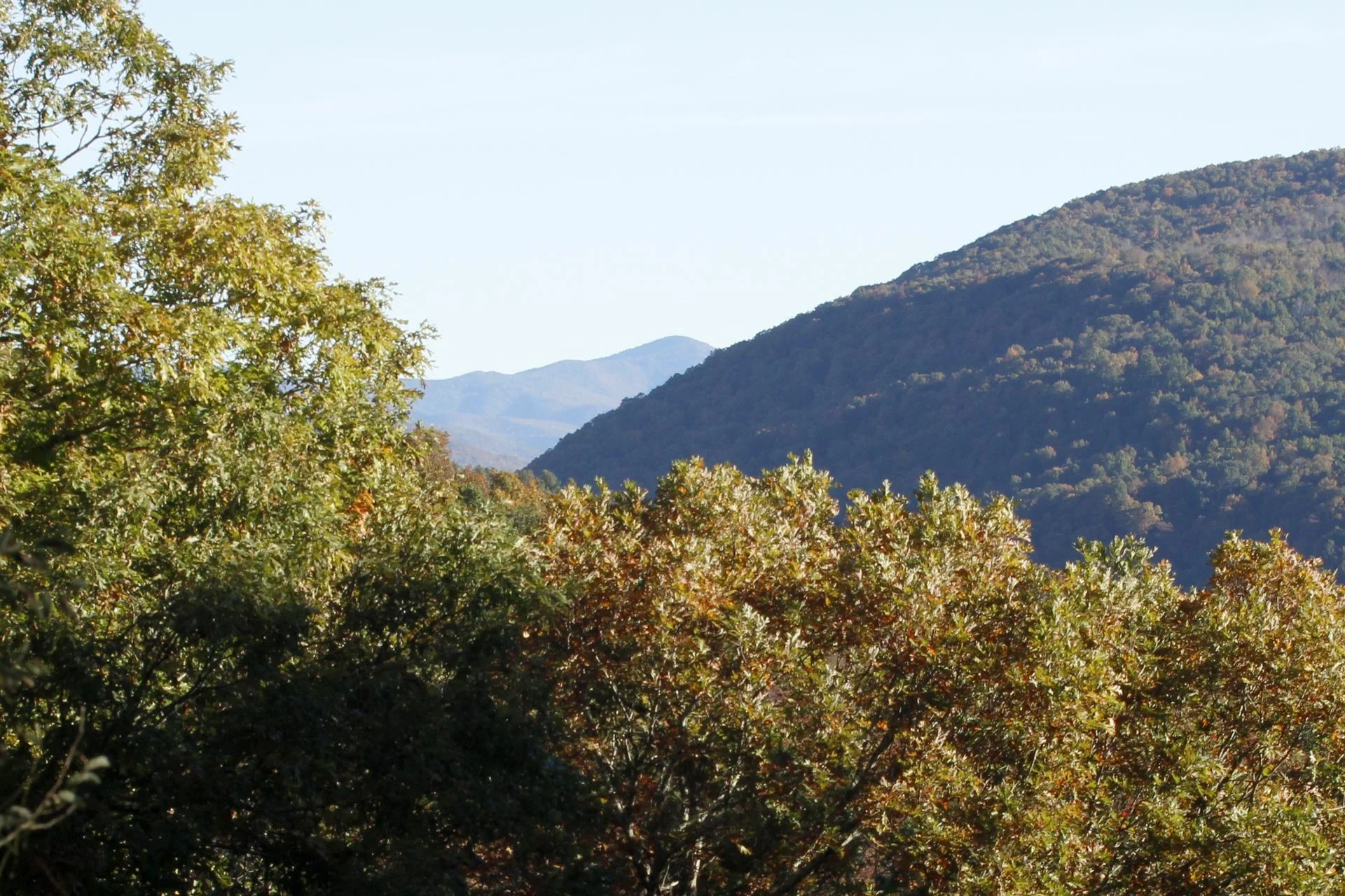 _MG_4447.jpg