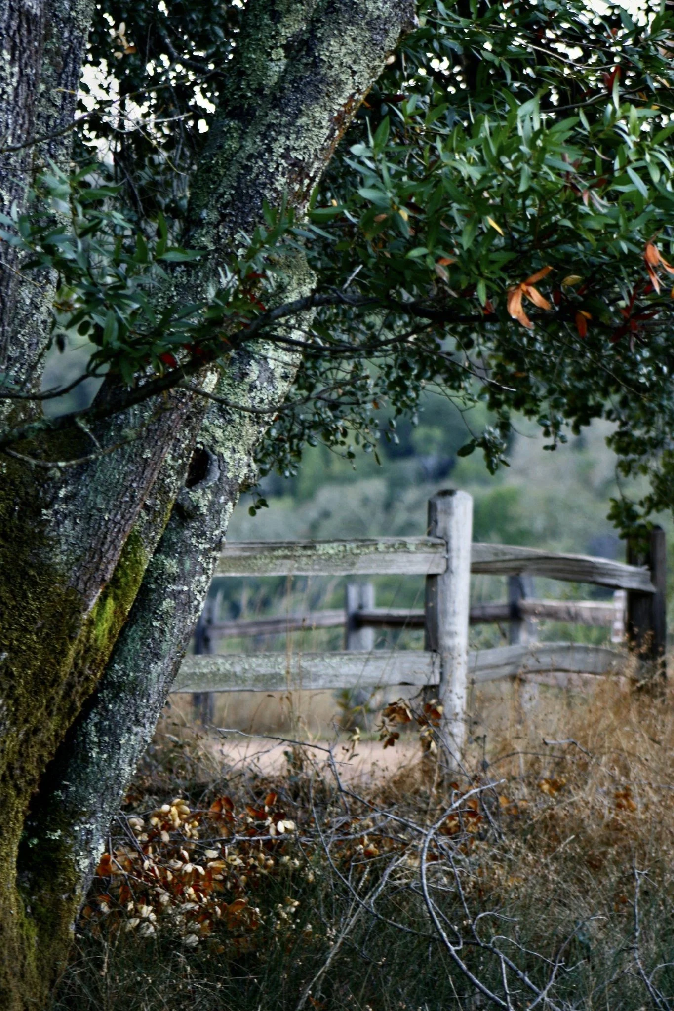 Life is Better in Hiking Boots - Part 1