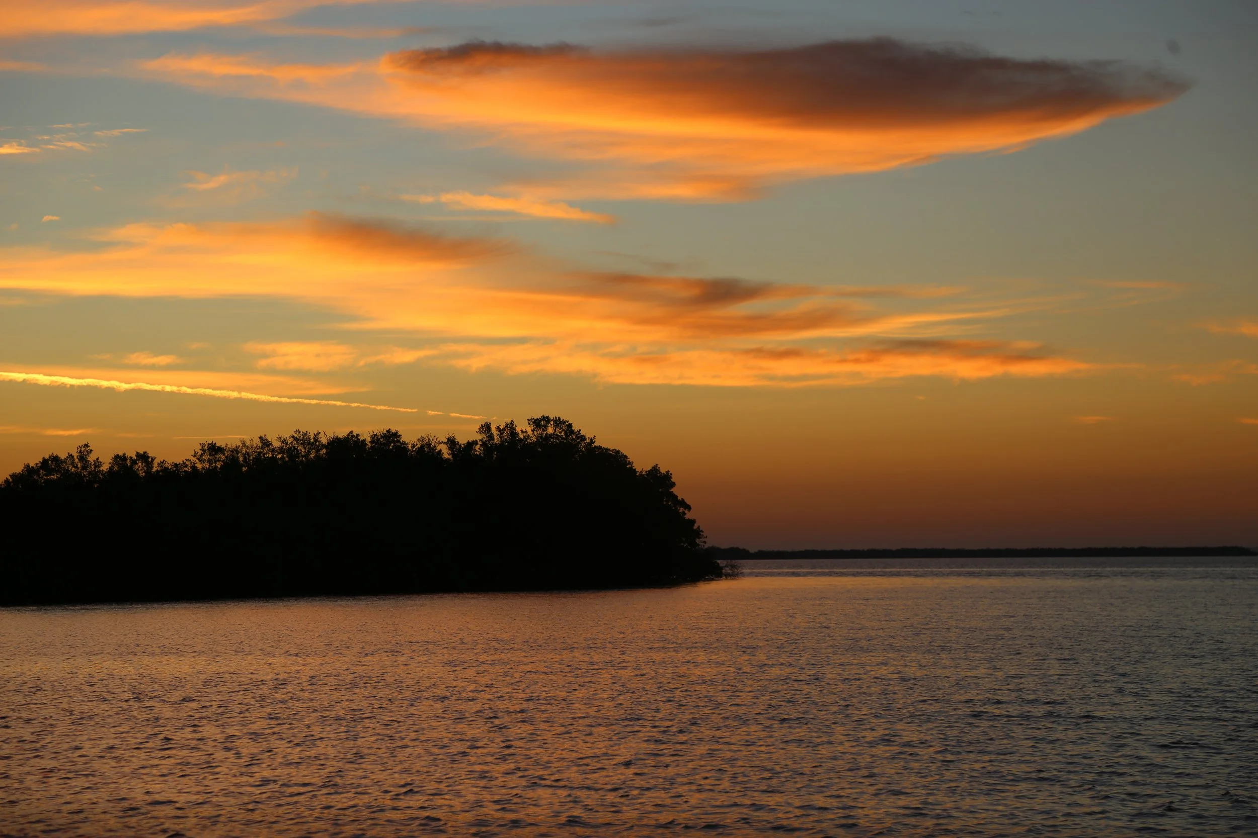 I Wasn't Always This Strong - part 5