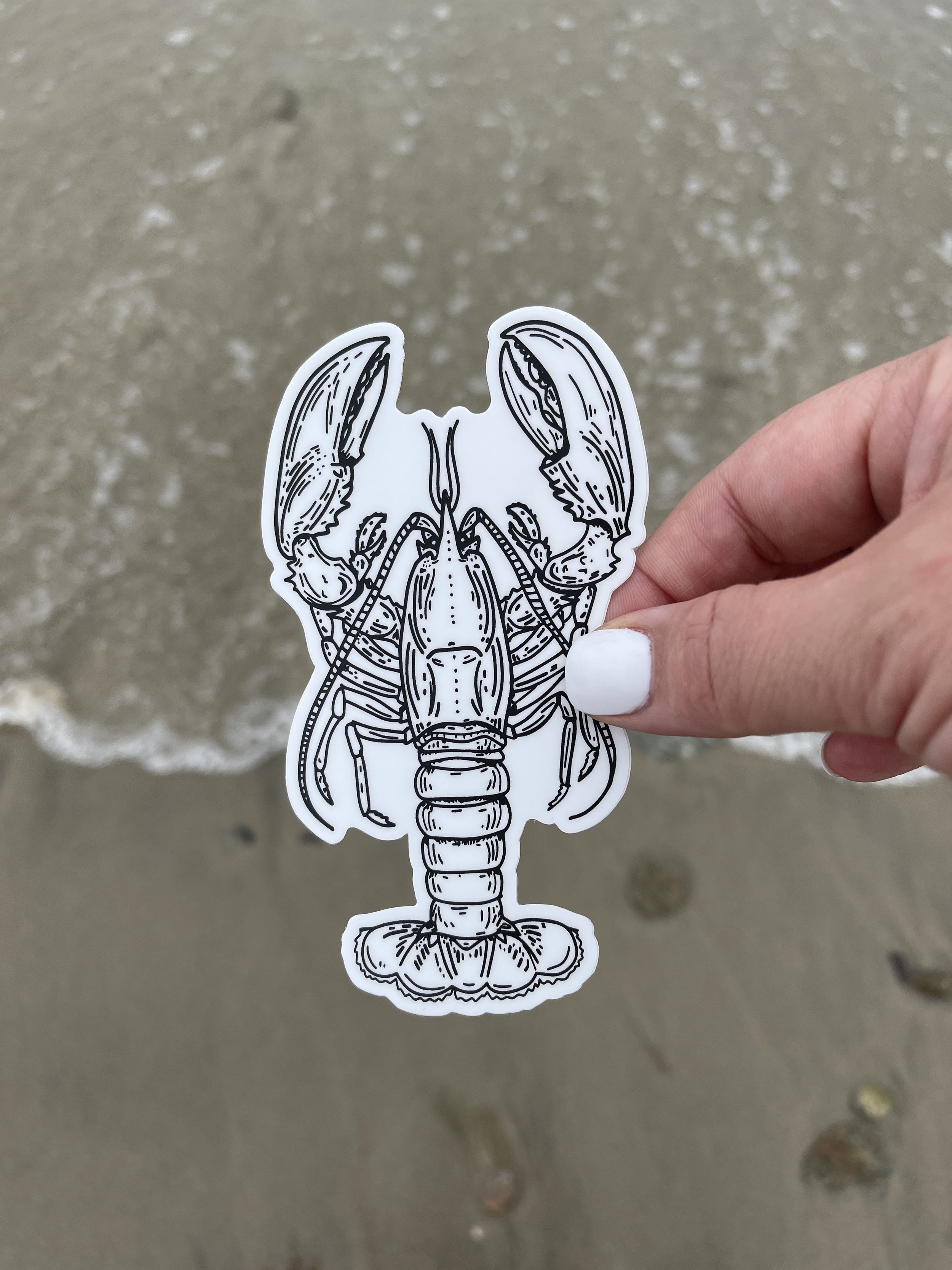 Lobster Sticker