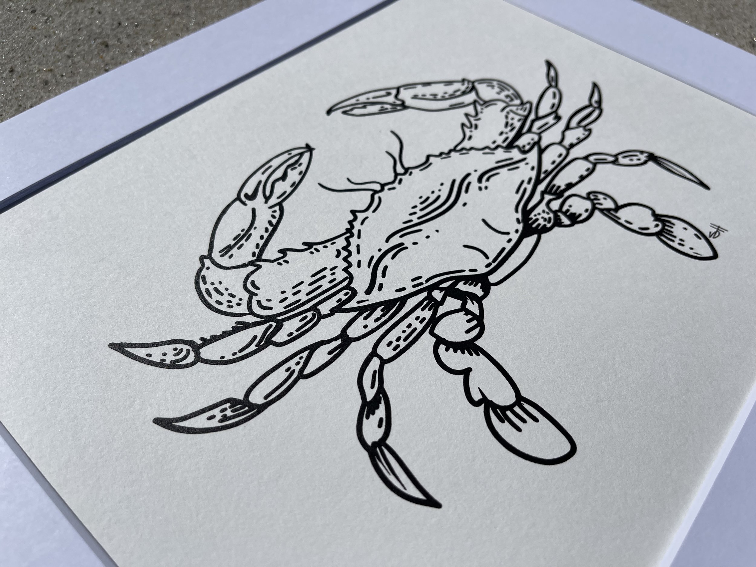 Crab on sand