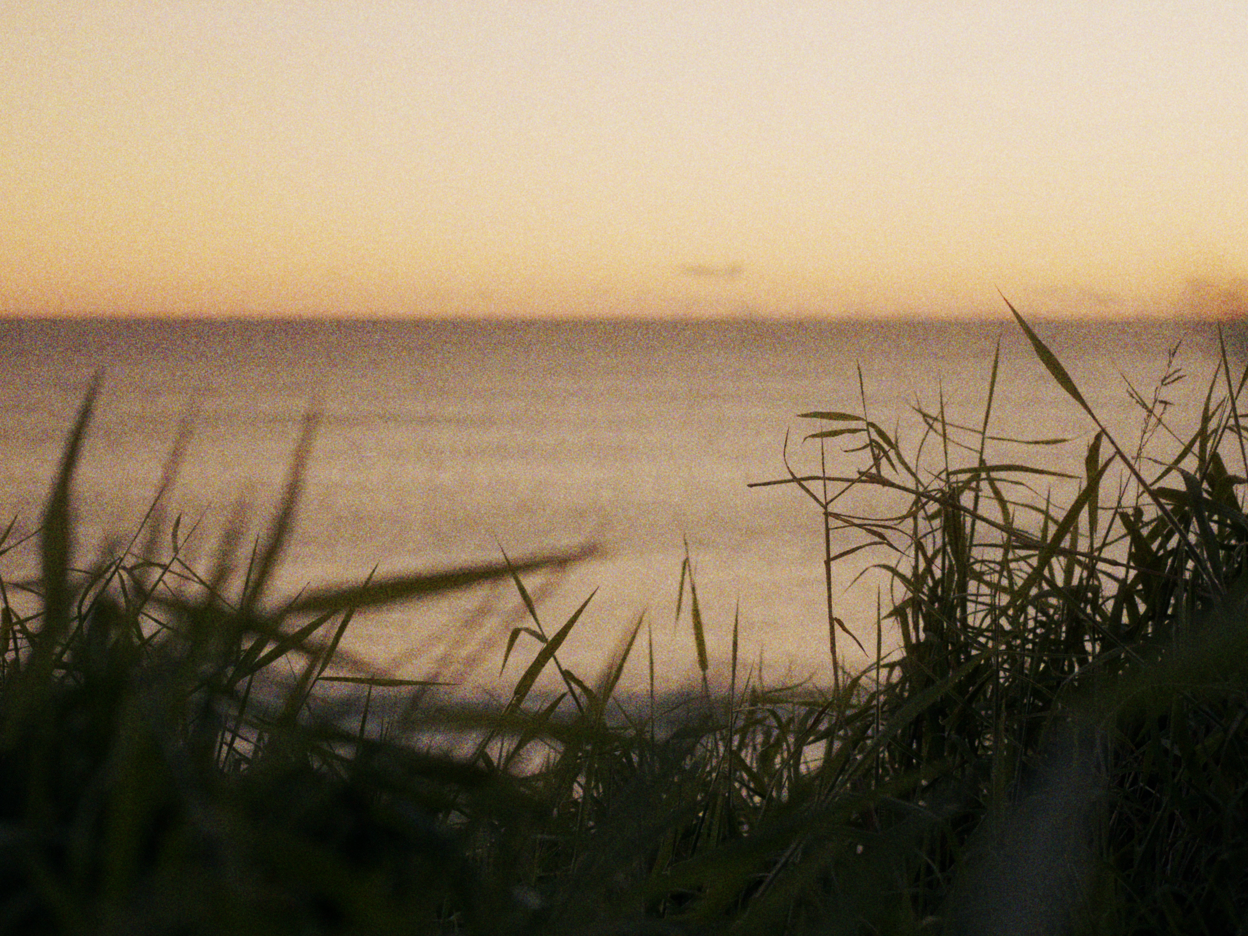 Reference Sizzle - Style 4x3.00_00_00_00.Still001.png