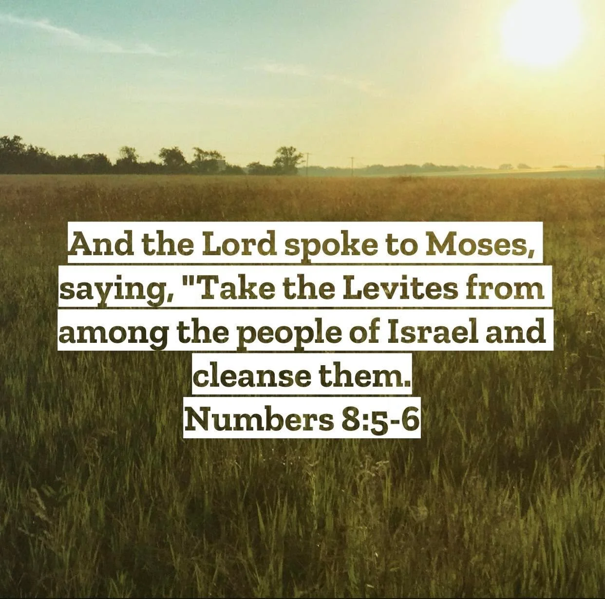 Numbers 8 &ndash; Pastor Mac Daily DEVO
 
And the Lord spoke to Moses, saying, &ldquo;Take the Levites from among the people of Israel and cleanse them. Numbers 8:5-6 - The work of the tent of meeting was going to be far more than Aaron and his sons 