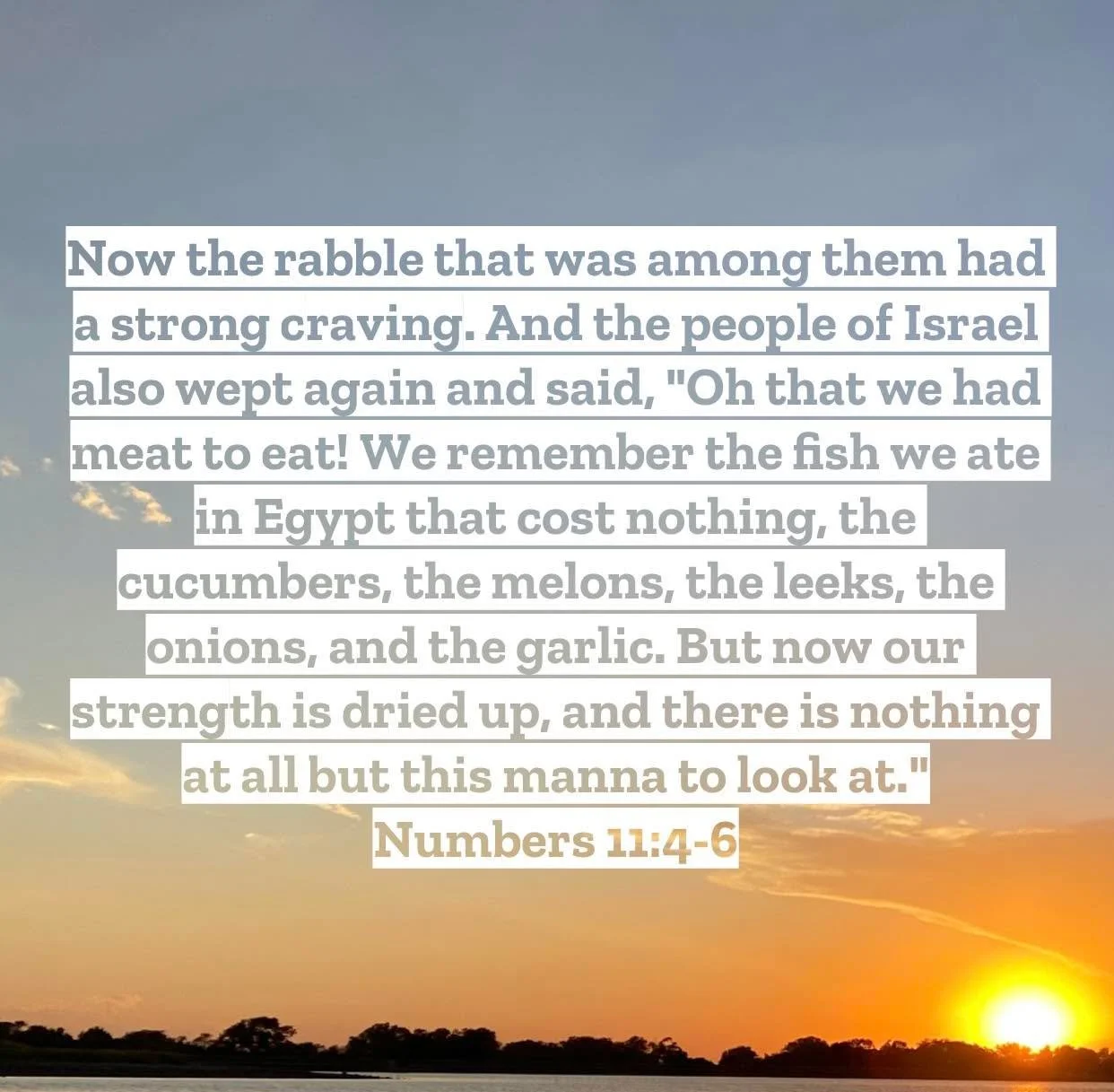 Numbers 11 &ndash; Pastor Mac Daily DEVO
 
Now the rabble that was among them had a strong craving. And the people of Israel also wept again and said, &ldquo;Oh that we had meat to eat! 5 We remember the fish we ate in Egypt that cost nothing, the cu