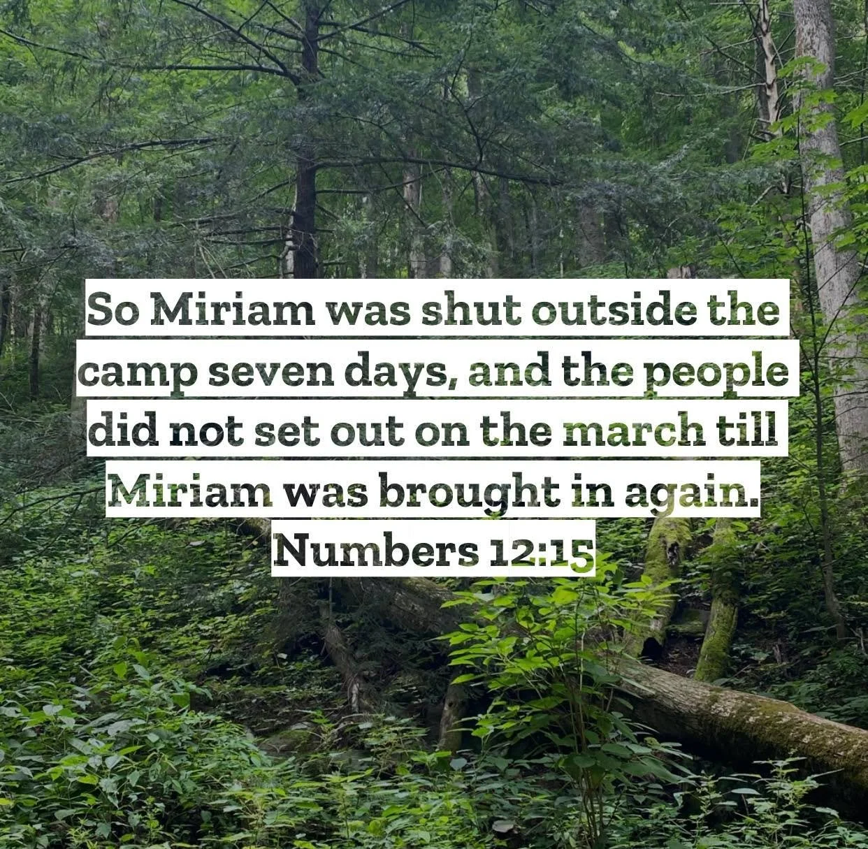 Numbers 12 &ndash; Pastor Mac Daily DEVO
 
So Miriam was shut outside the camp seven days, and the people did not set out on the march till Miriam was brought in again. Numbers 12:15 - Today&rsquo;s chapter reveals a conflict between Moses and his si