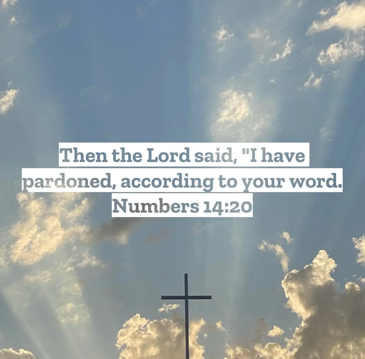 Numbers 14 &ndash; Pastor Mac Daily DEVO
 
Then the Lord said, &ldquo;I have pardoned, according to your word.&rdquo; Numbers 14:20 - Today&rsquo;s chapter was a pivotal one in the history of Israel. After hearing the ten spies report that the Promis