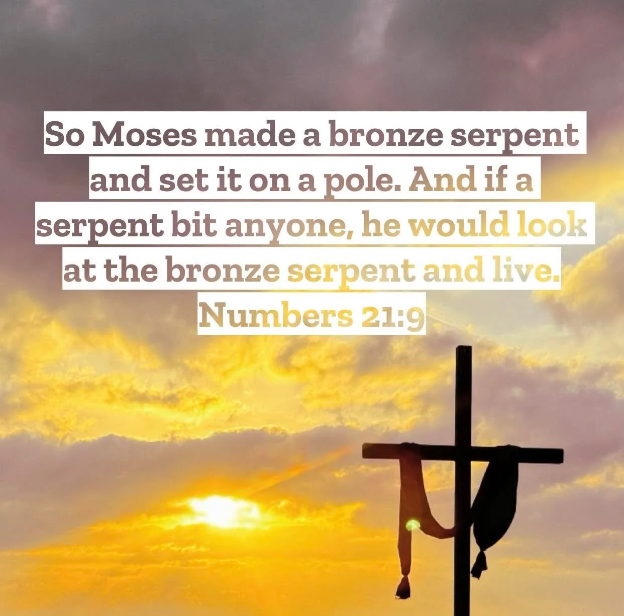 Numbers 21 &ndash; Pastor Mac Daily DEVO
 
So Moses made a bronze serpent and set it on a pole. And if a serpent bit anyone, he would look at the bronze serpent and live. Numbers 21:9 - By now reading in our chapter that the people of Israel complain