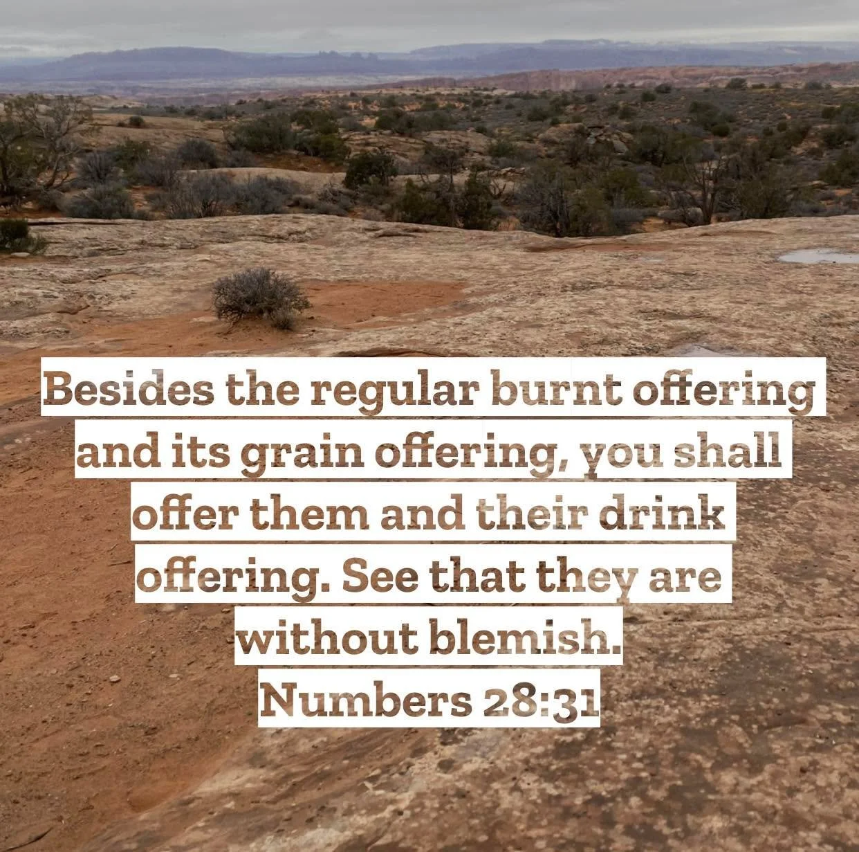 Numbers 28 &ndash; Pastor Mac Daily DEVO
 
Besides the regular burnt offering and its grain offering, you shall offer them and their drink offering. See that they are without blemish. Numbers 28:31 - While the structure of these offerings were given 