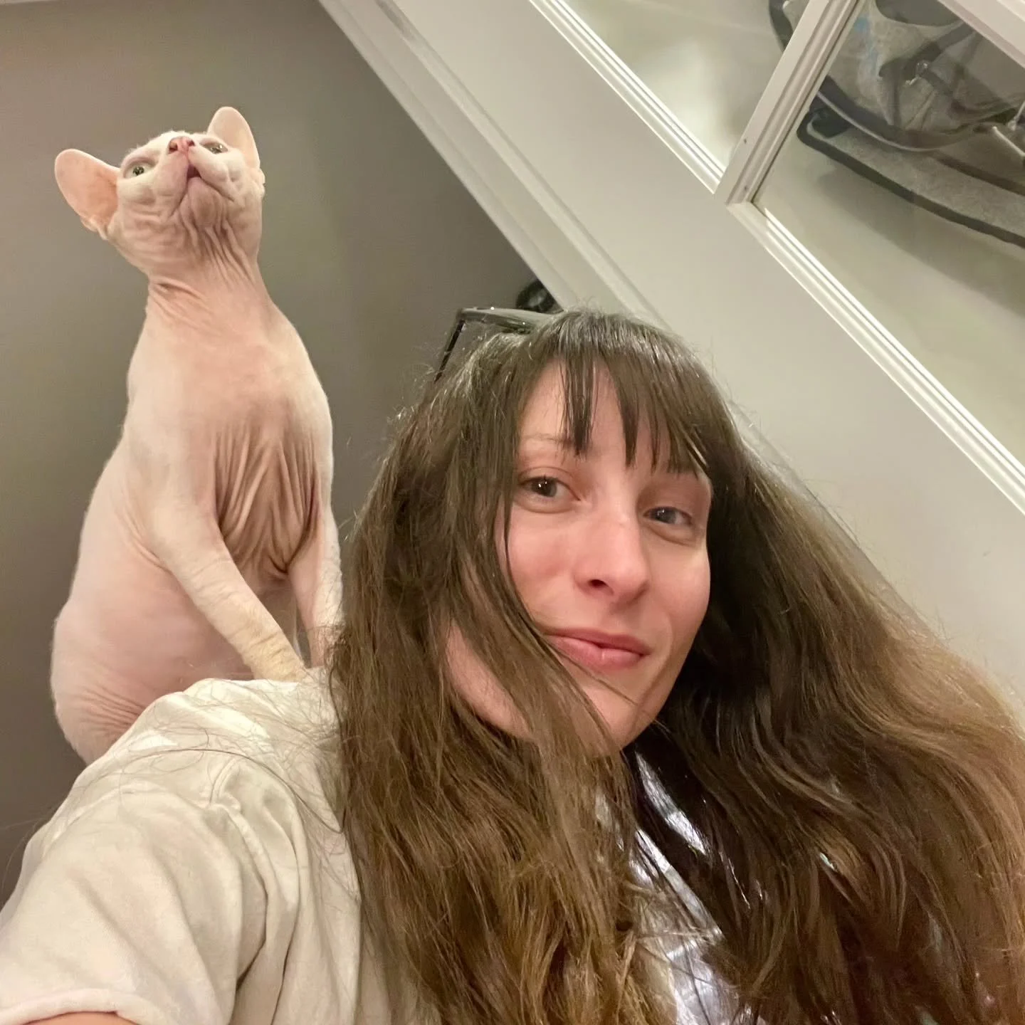 Jessica doesn't just pay attention to detail, she's the detail KING 👑 

ft. David the hairless cat, helpful as always

🍗🍗🍗🍗🍗🍗🍗🍗🍗

#PeachyPets #PeachyCleaners
