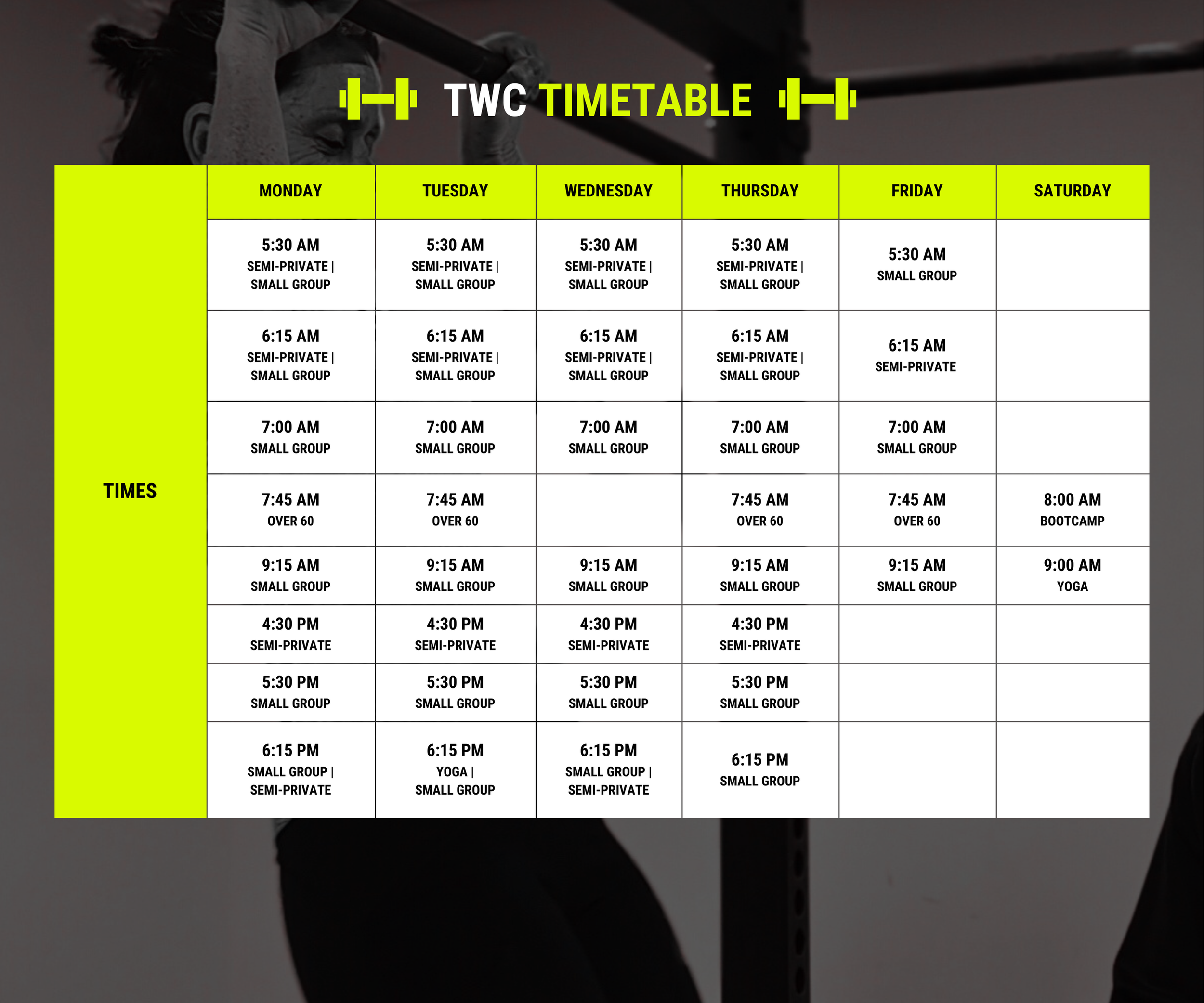 Timetable — TRIBE WELLNESS CO