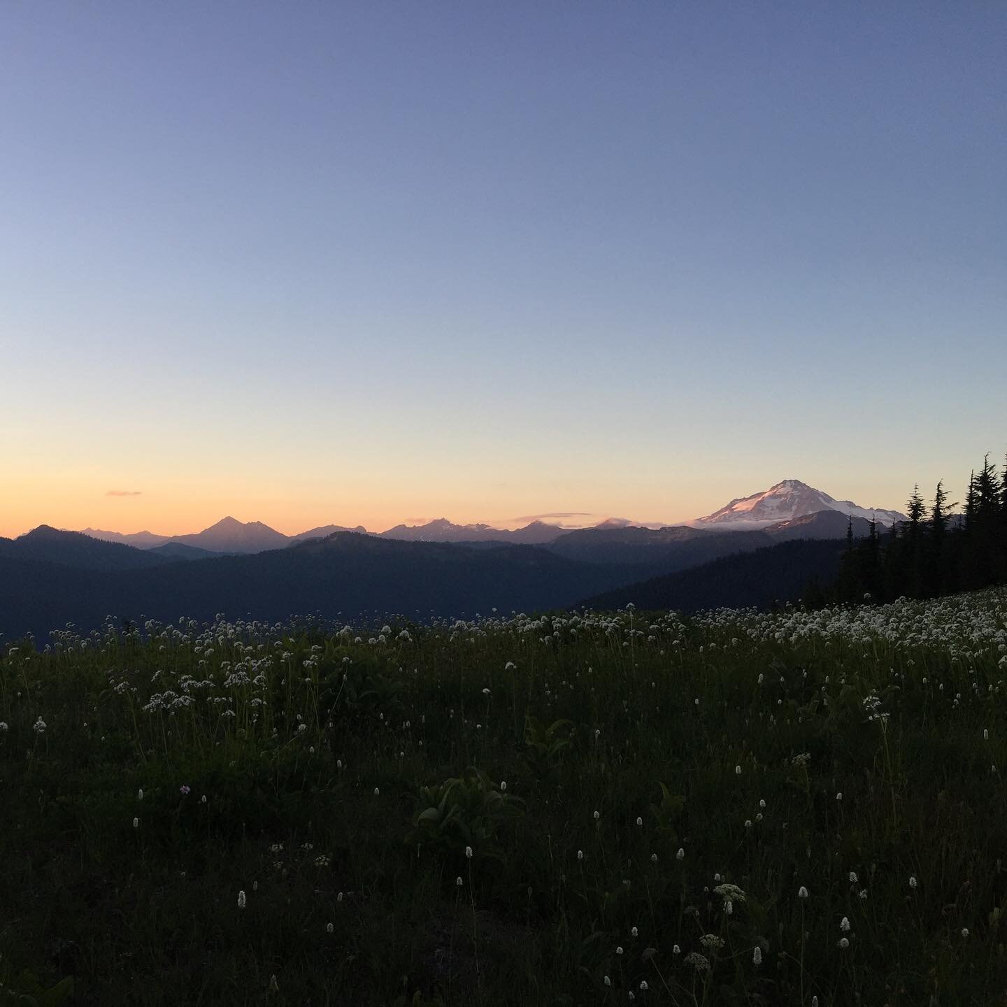 Benchmark Mountain, Central Cascades, 2016