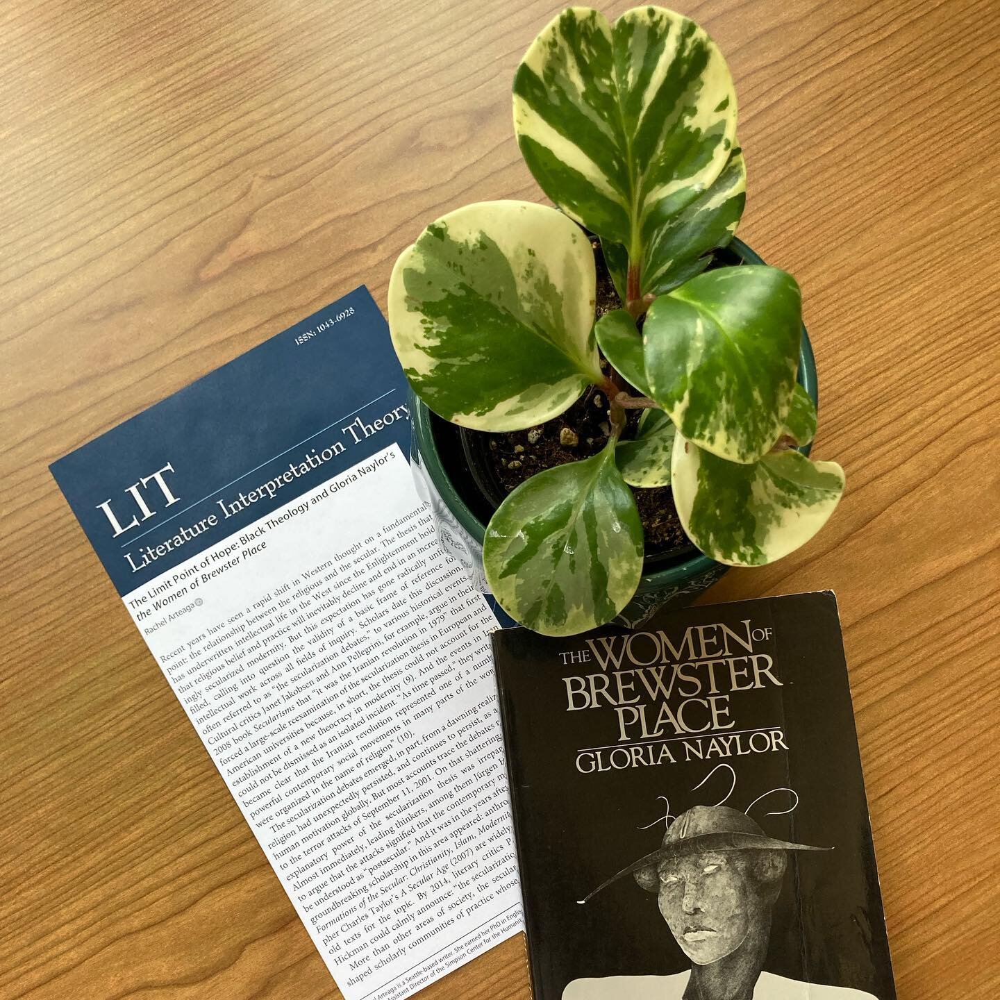 My article &ldquo;The Limit Point of Hope: Black Theology and Gloria Naylor&rsquo;s The Women of Brewster Place&rdquo; appeared in the scholarly journal Literature Interpretation Theory, Volume 32 Issue 2 (2021), as part of a special issue on religio