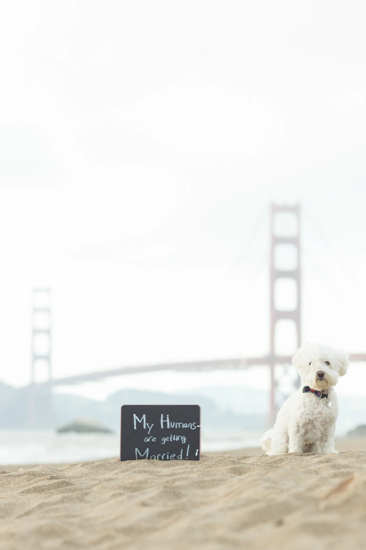Ally and Derrick Engagement Shoot 6.30.19_21.jpg