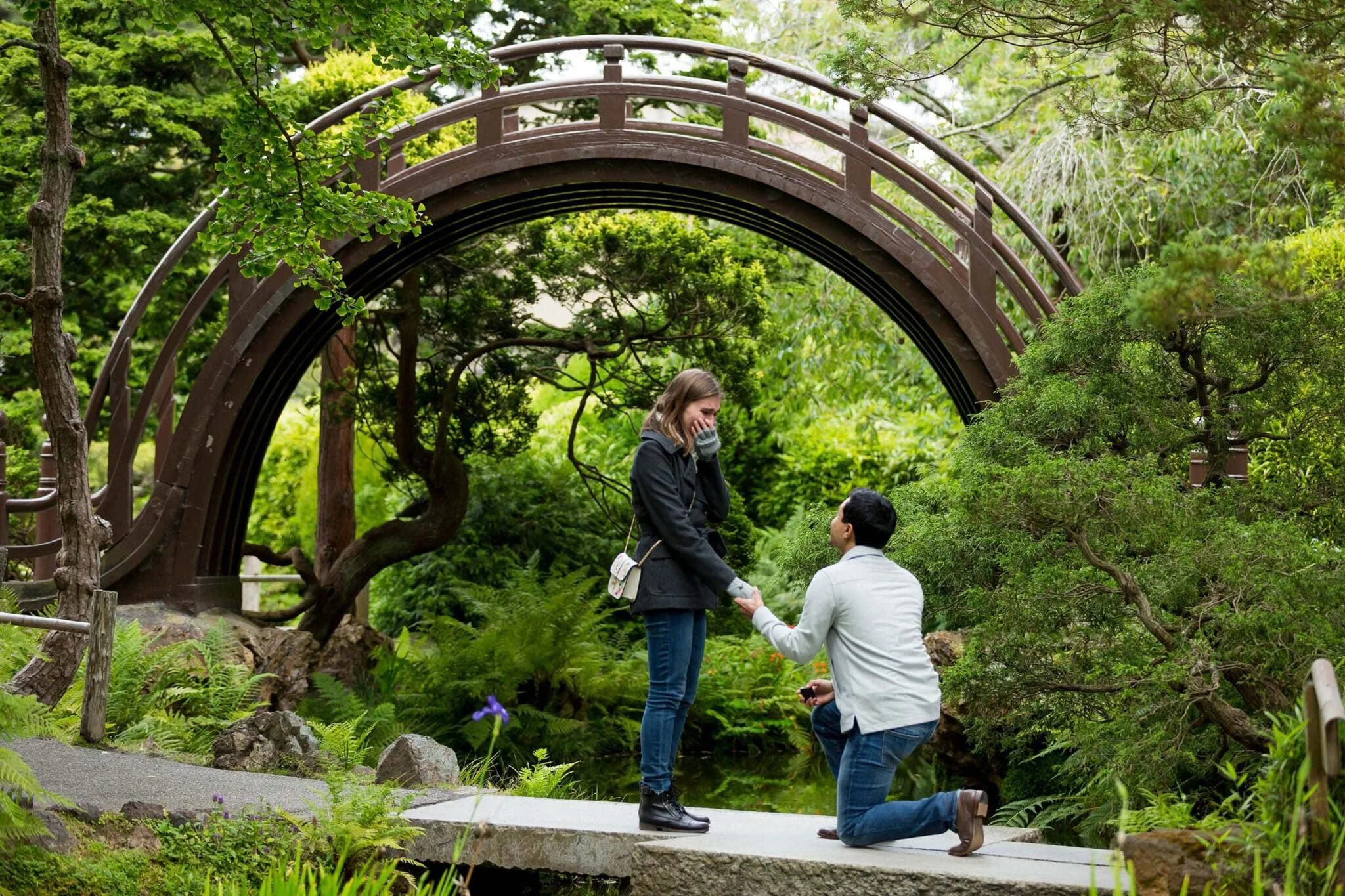 Surprise proposal under a wooden bridge in a Japanese tea garden with lush greenery