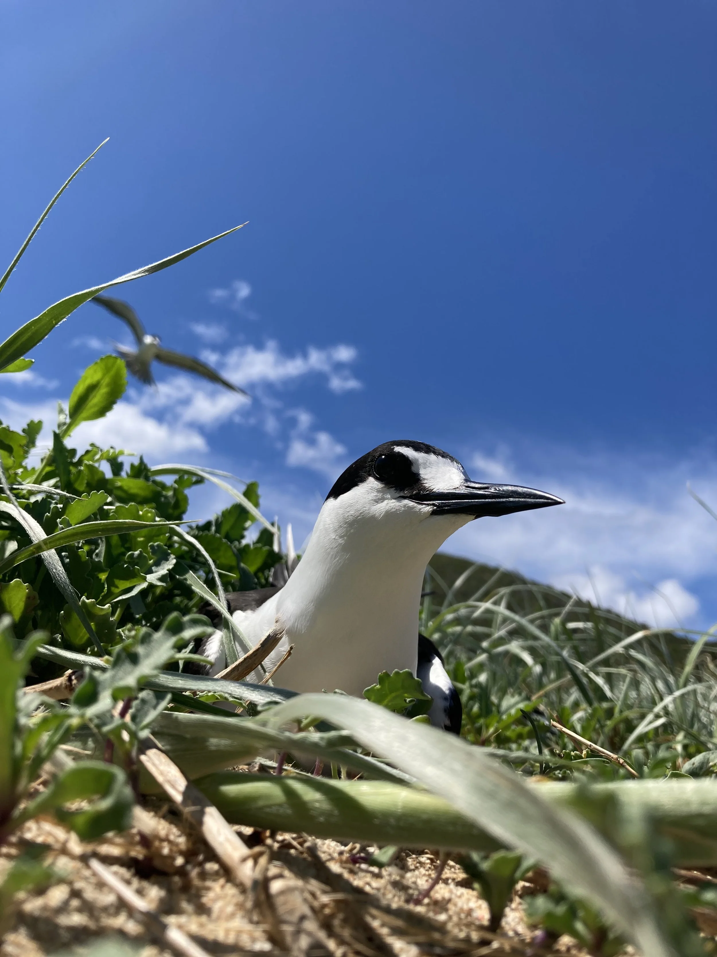 IMG_0425.jpeg