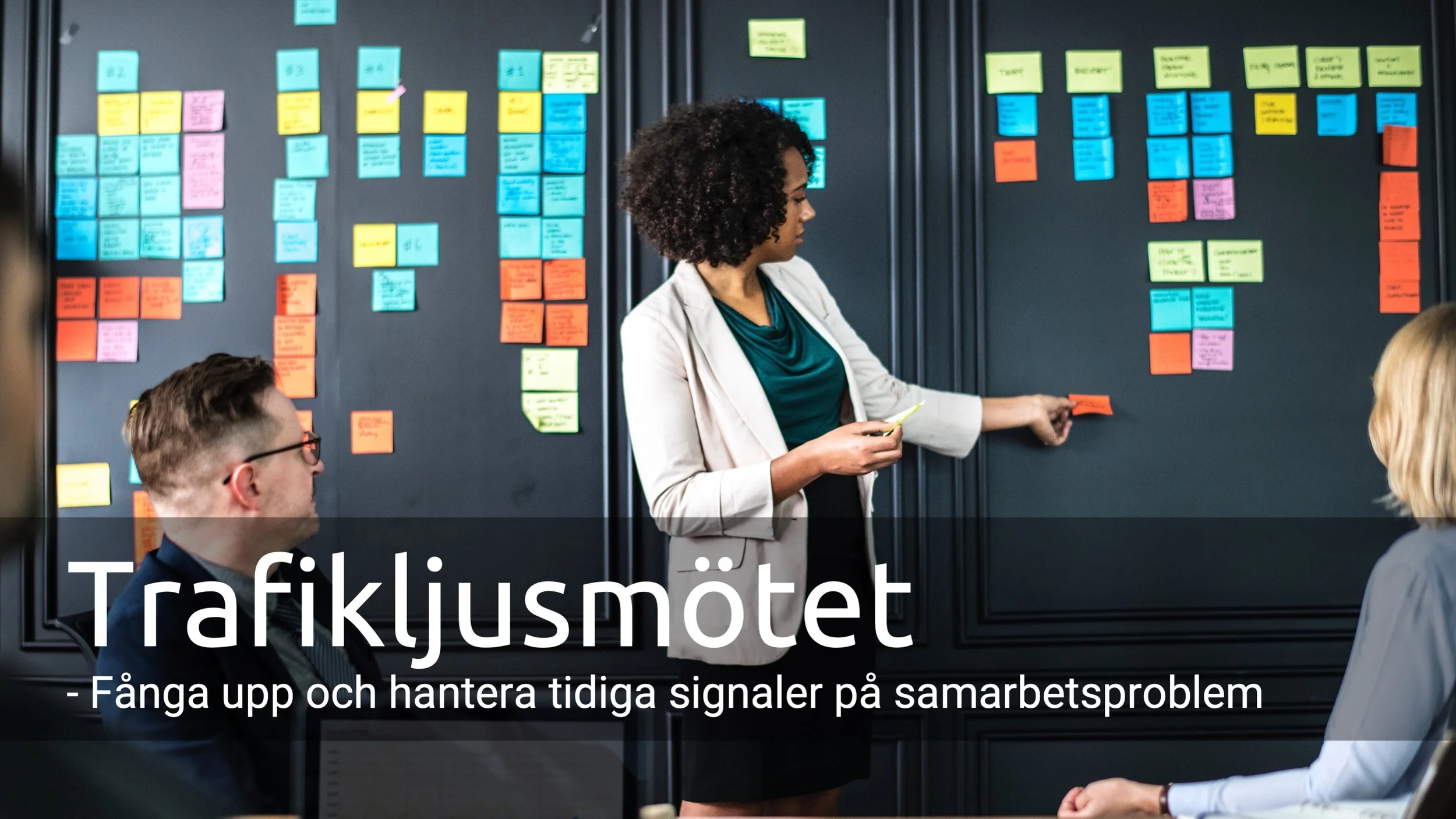 Kvinna_som_håller_i_ett_trafikljusmöte