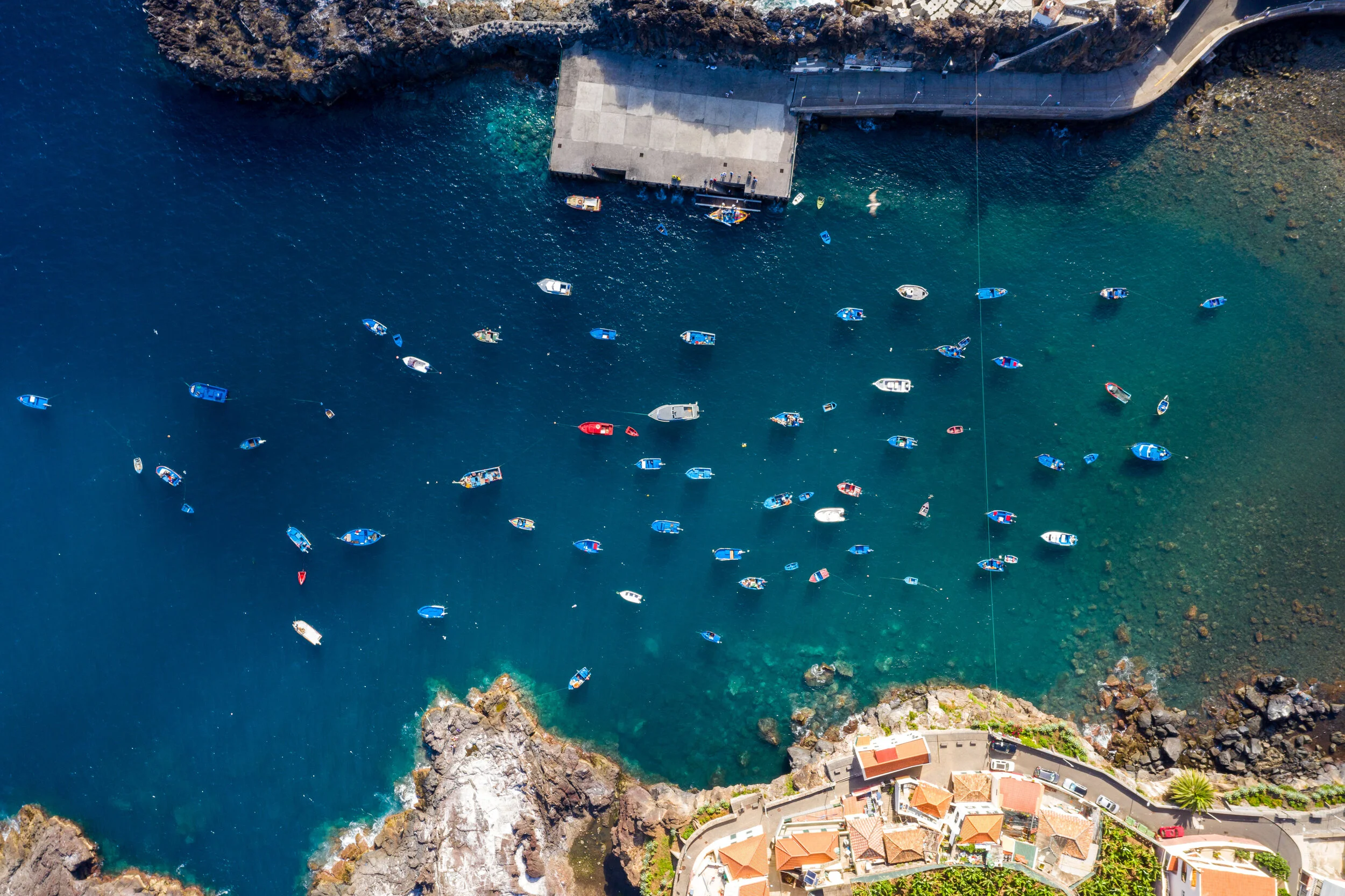 DJI_0321.jpg