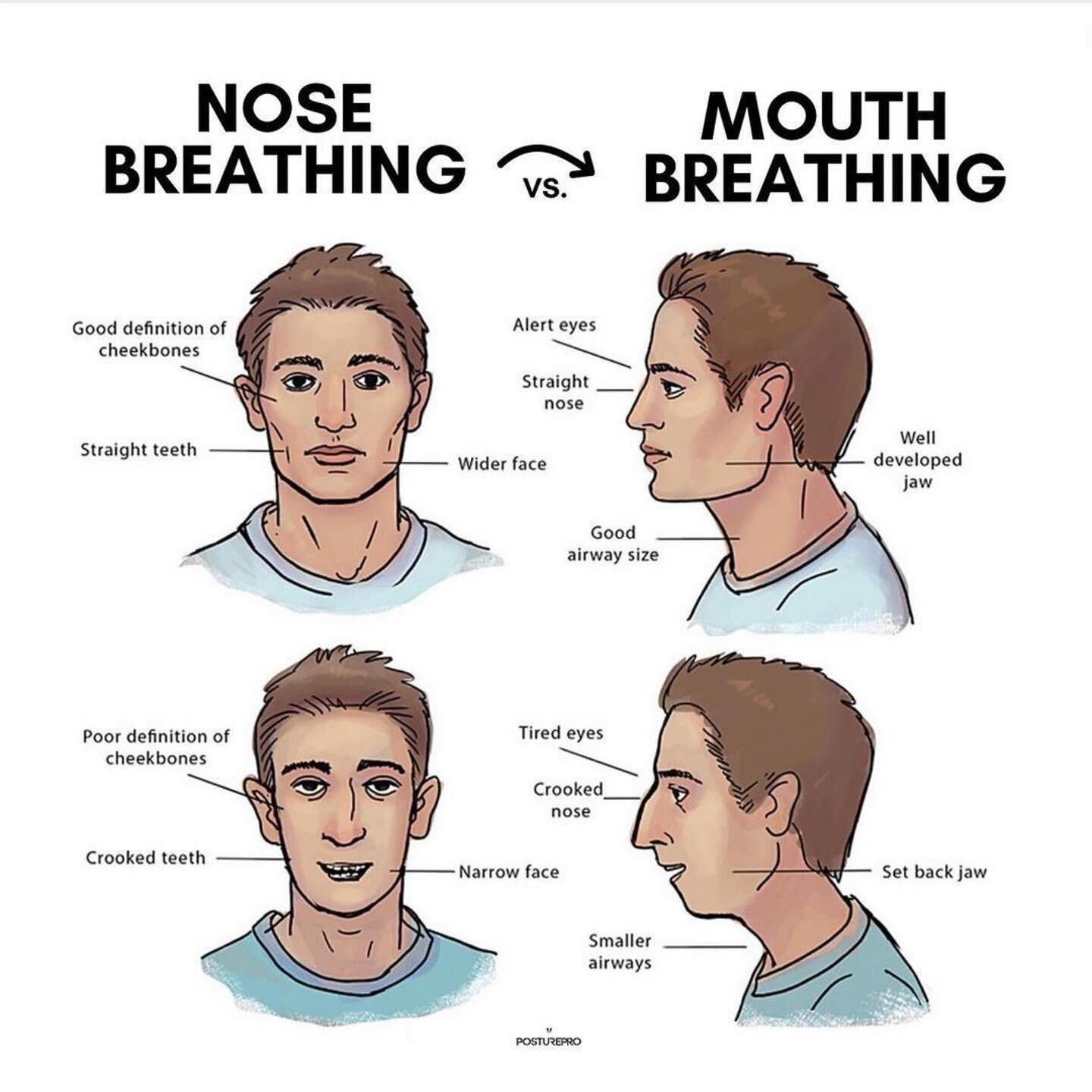 Ever wake up with a dry mouth? Then you might be a mouth breather?

But did you know that your mouth is not designed to be the main inhalation route for the body?

Mouth breathing is an inefficient way of optimizing respiration and delivering one of 