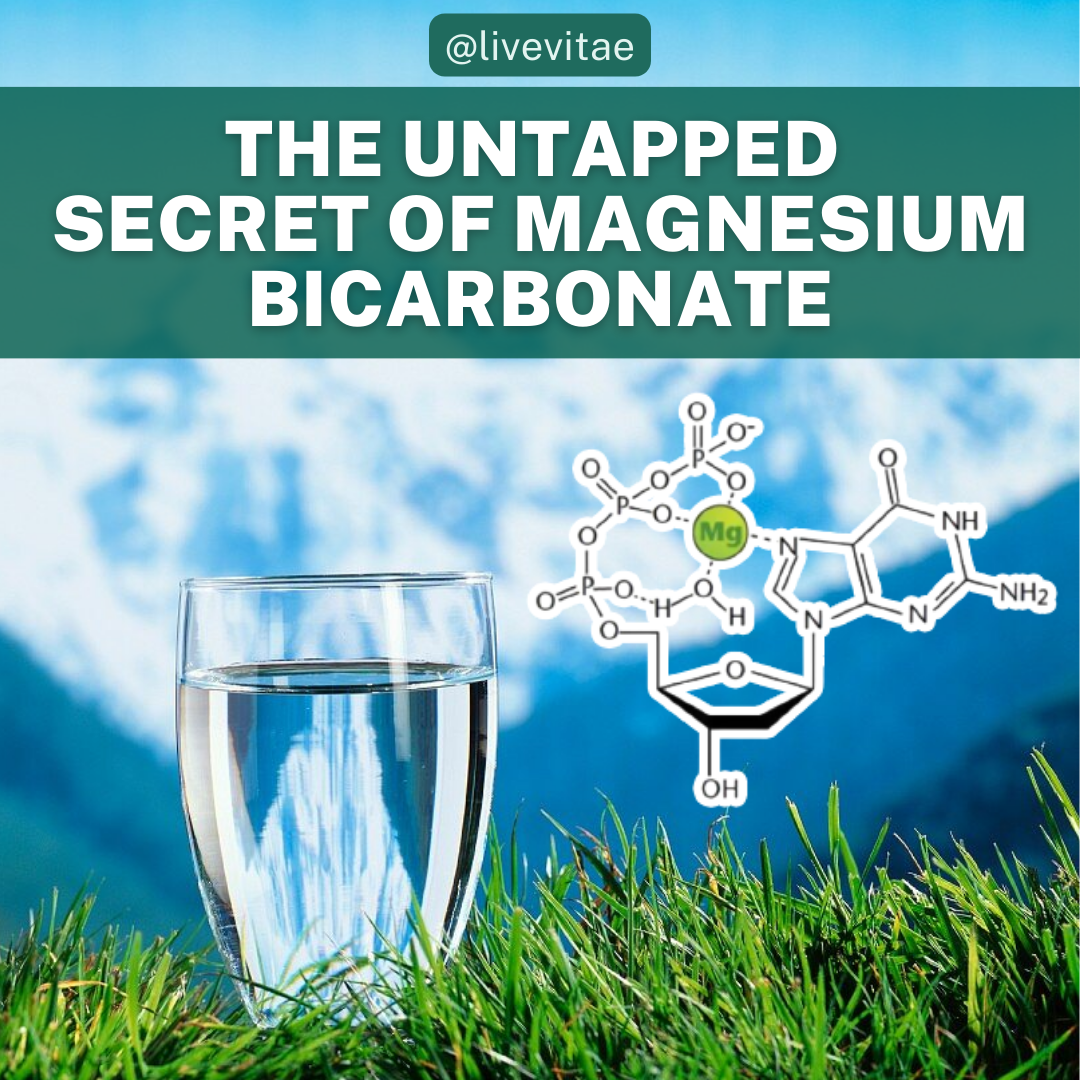 The Secret Power of Magnesium Bicarbonate Live Vitae