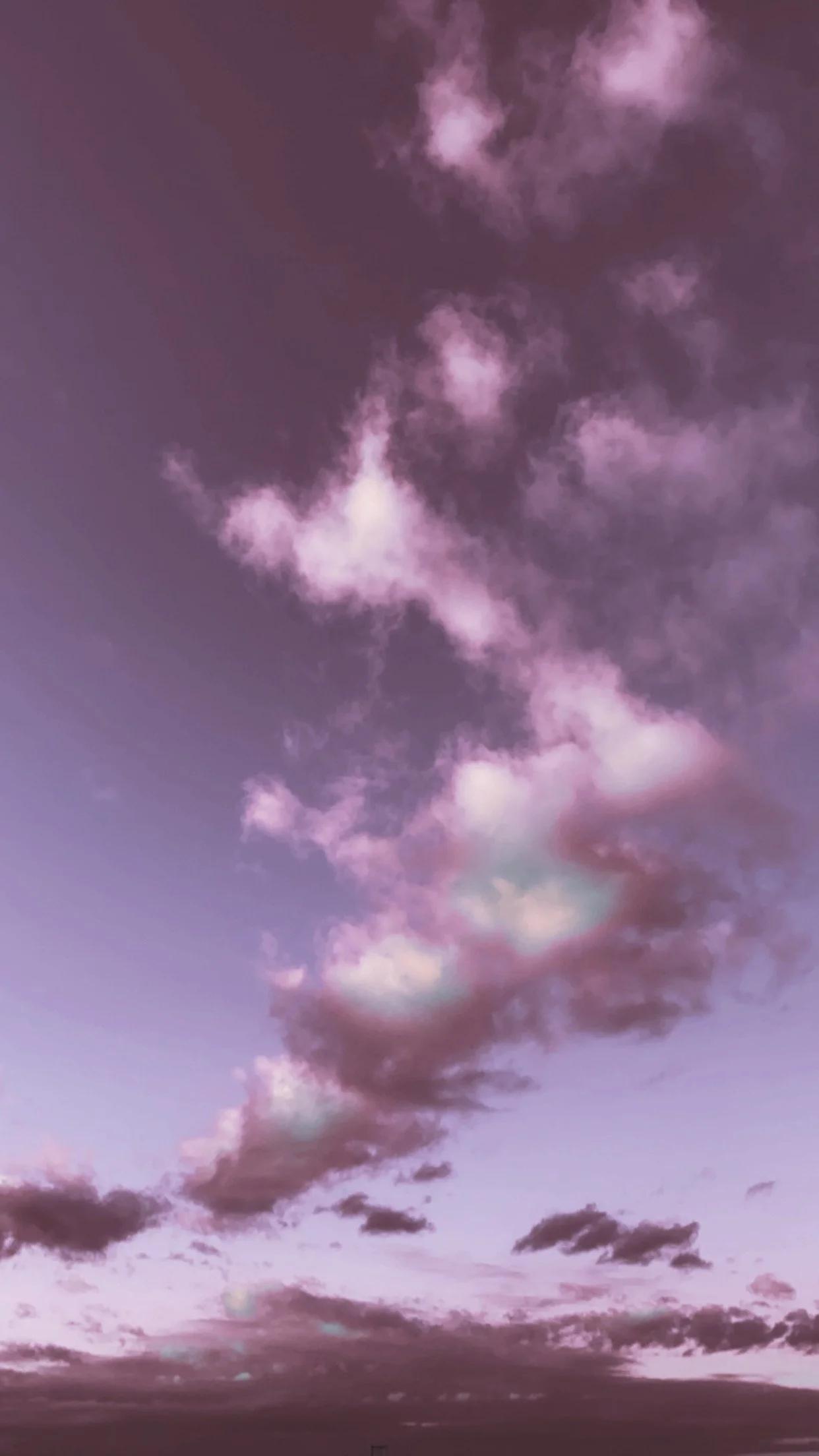 7DBAE732-01DF-41DD-A85B-327BFF3380A5.JPG