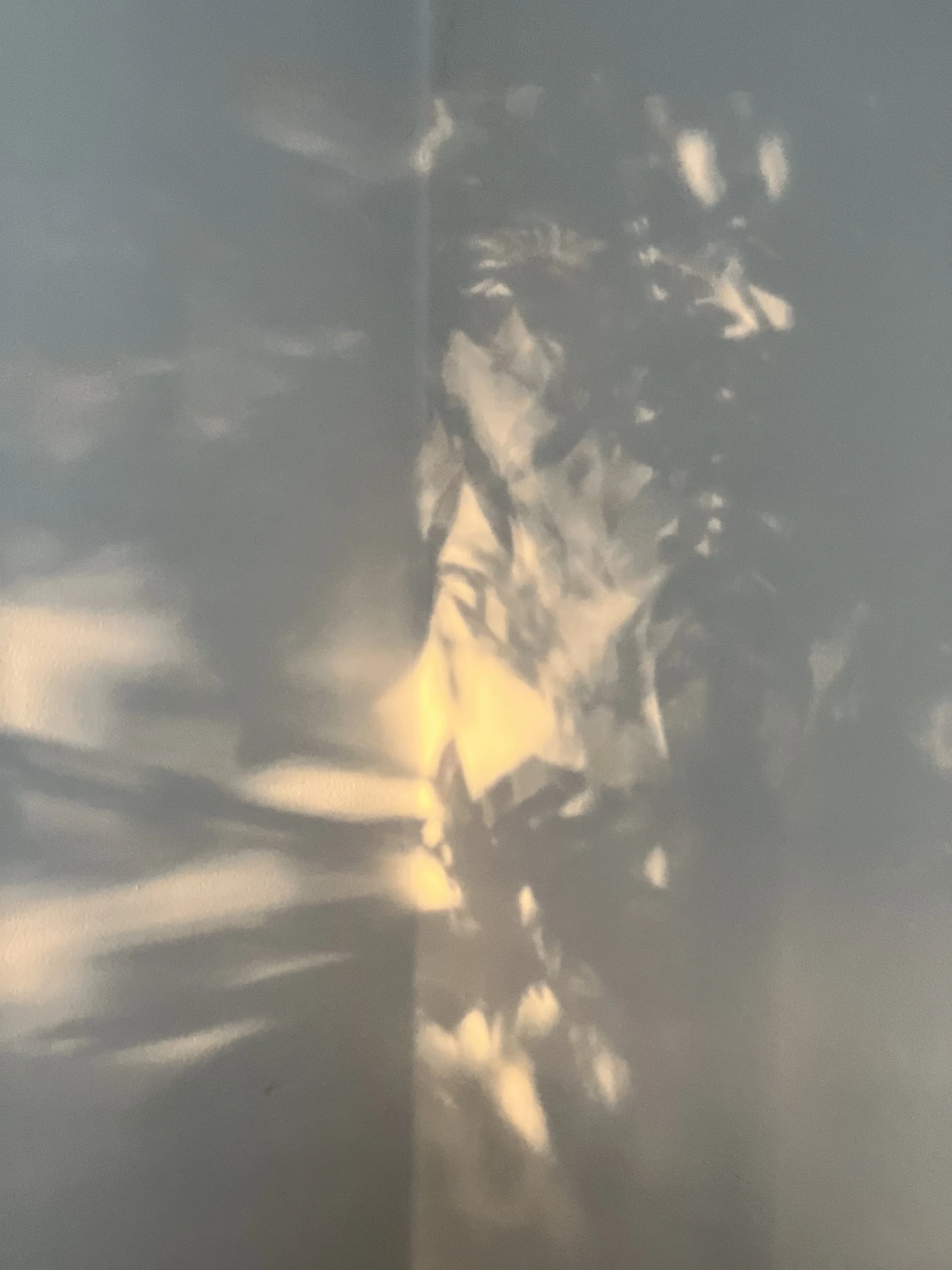 IMG_7257.jpeg