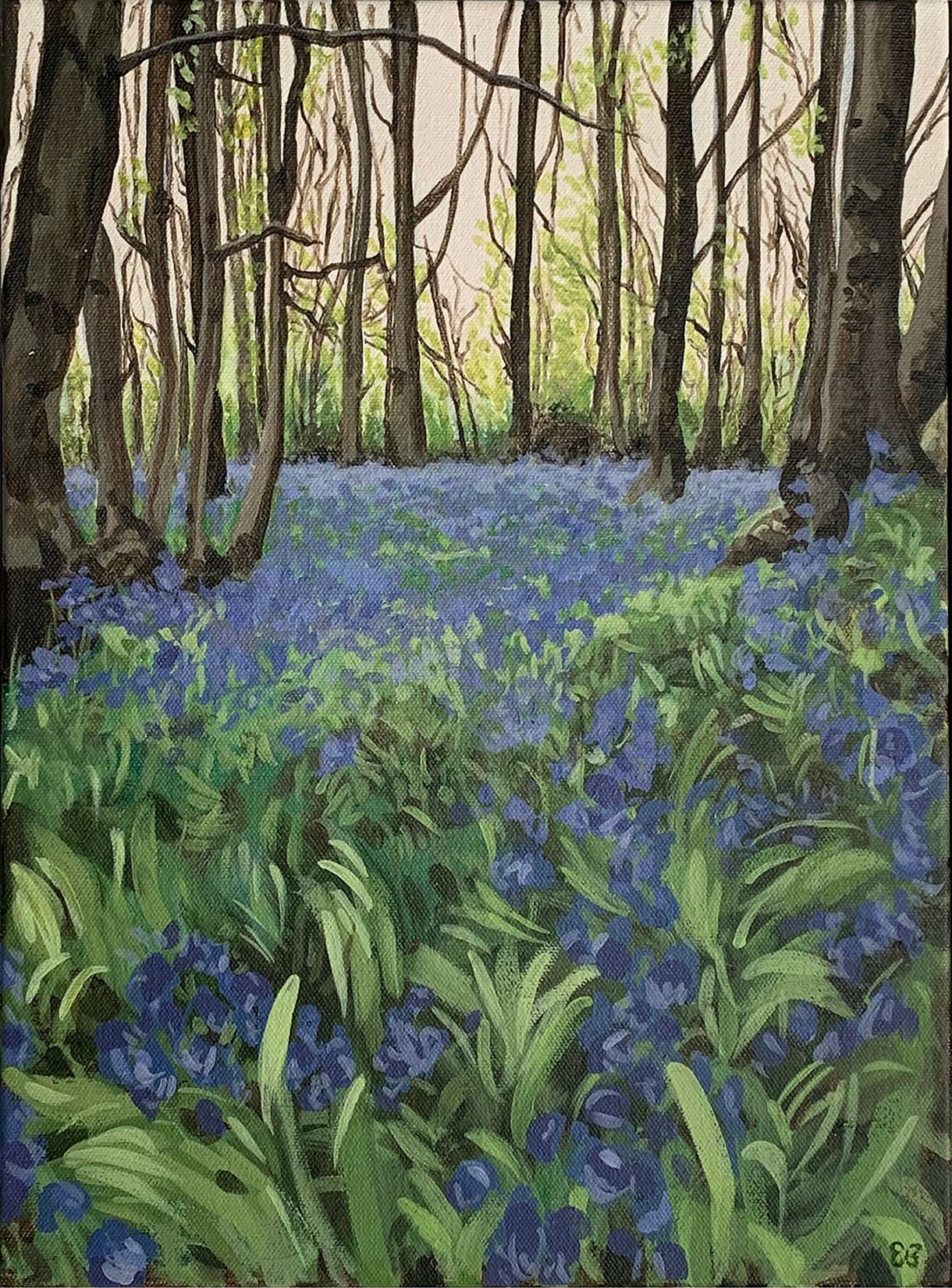 Oversley Bluebells (Commission)