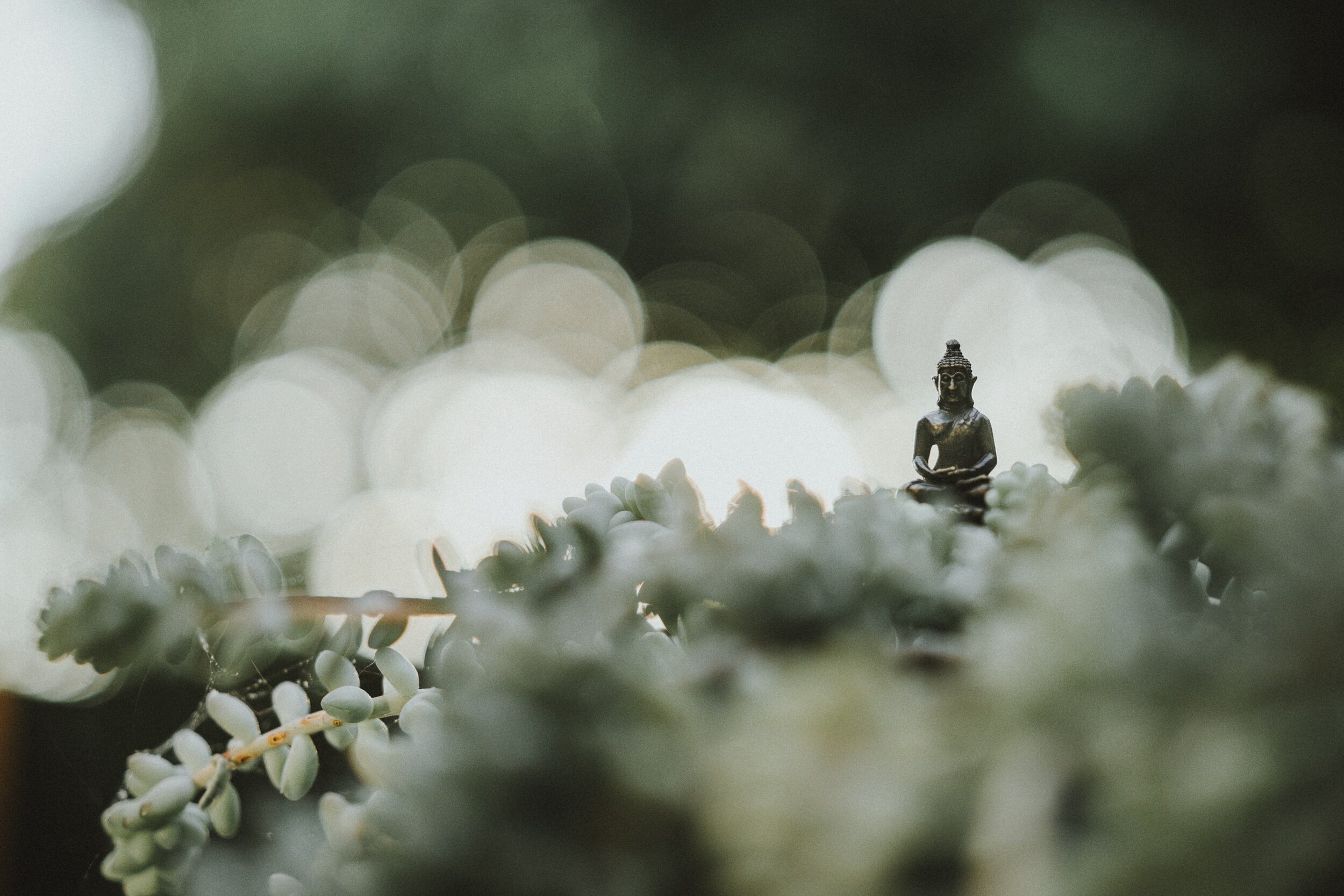 meditation-letting-go-buddhism-retreat-coaching