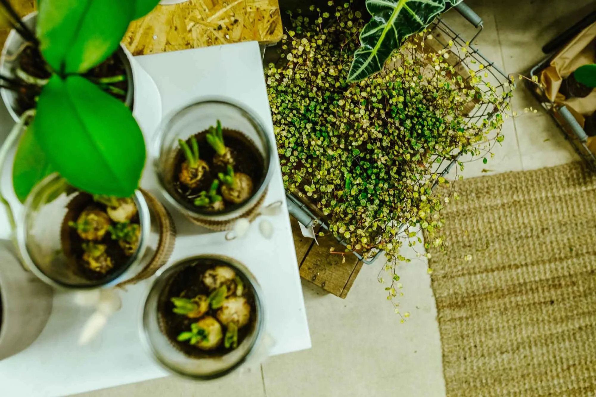 Kukkagalleria voiKukka! Flower Shop — voi Kukka! Flower Shop