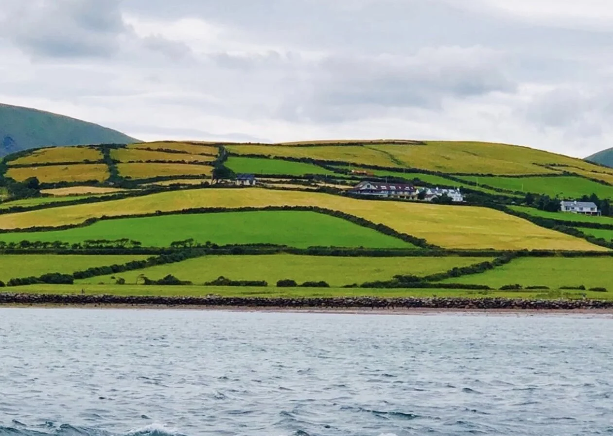 BB3E67C4-198E-478D-8B09-FFE5F74F635C