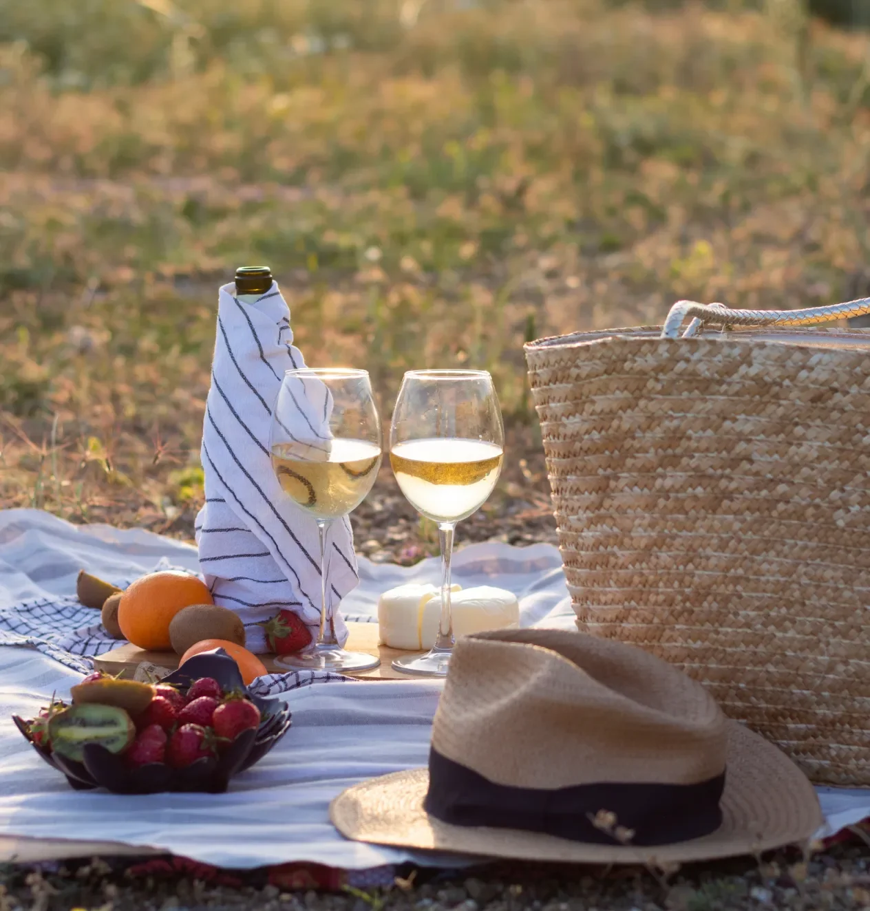Pleasure-Vacation.webp