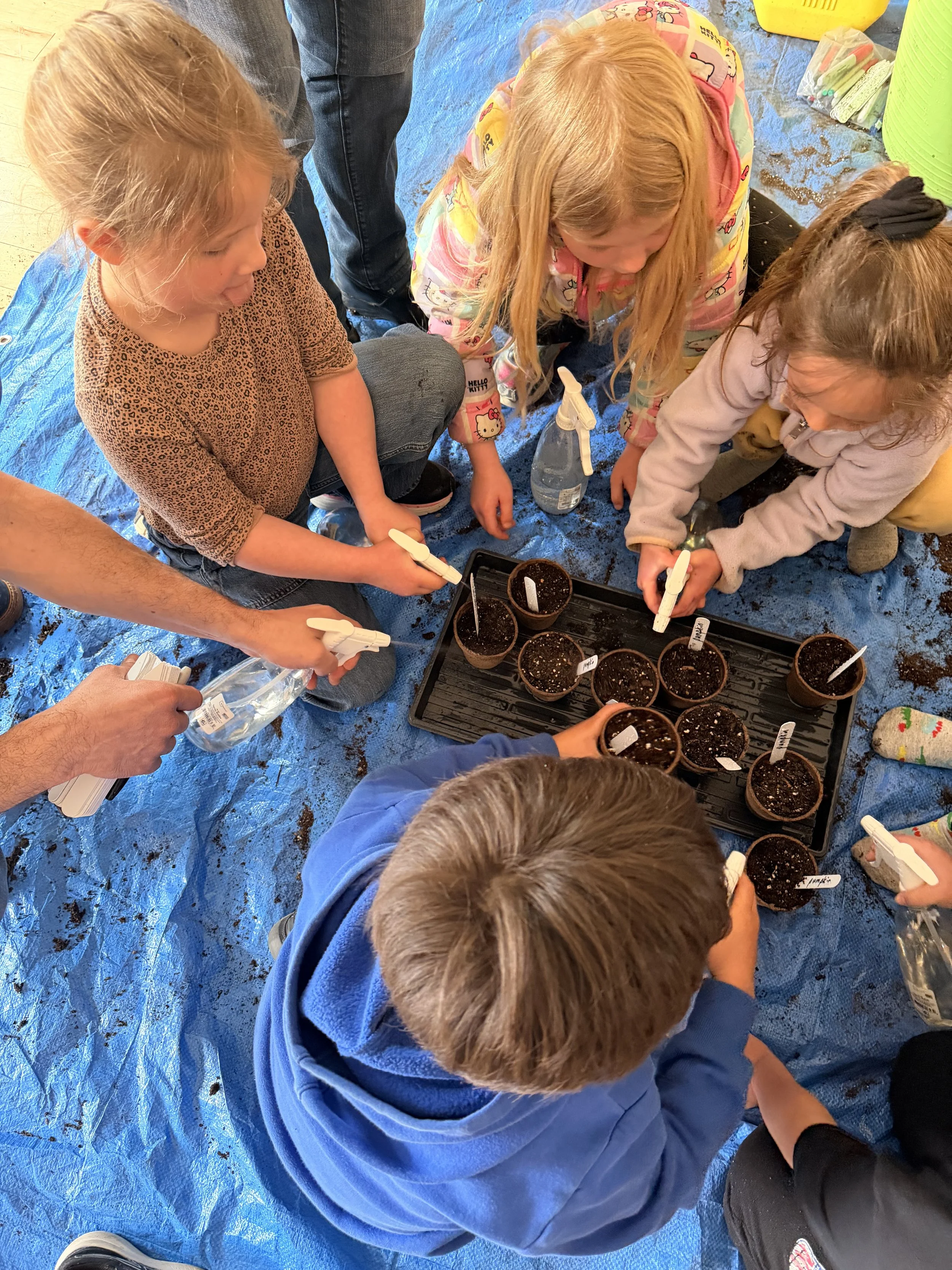 Gardening with Rayitos de Sol 