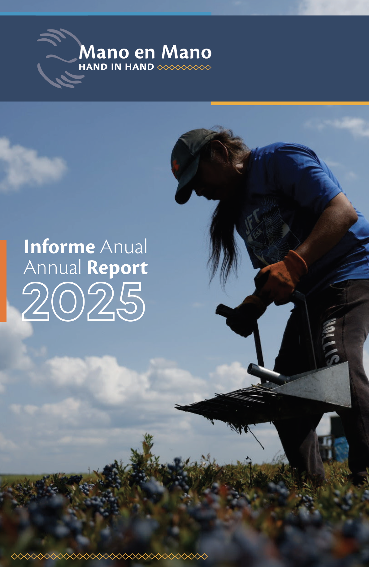 2025 Annual Report
