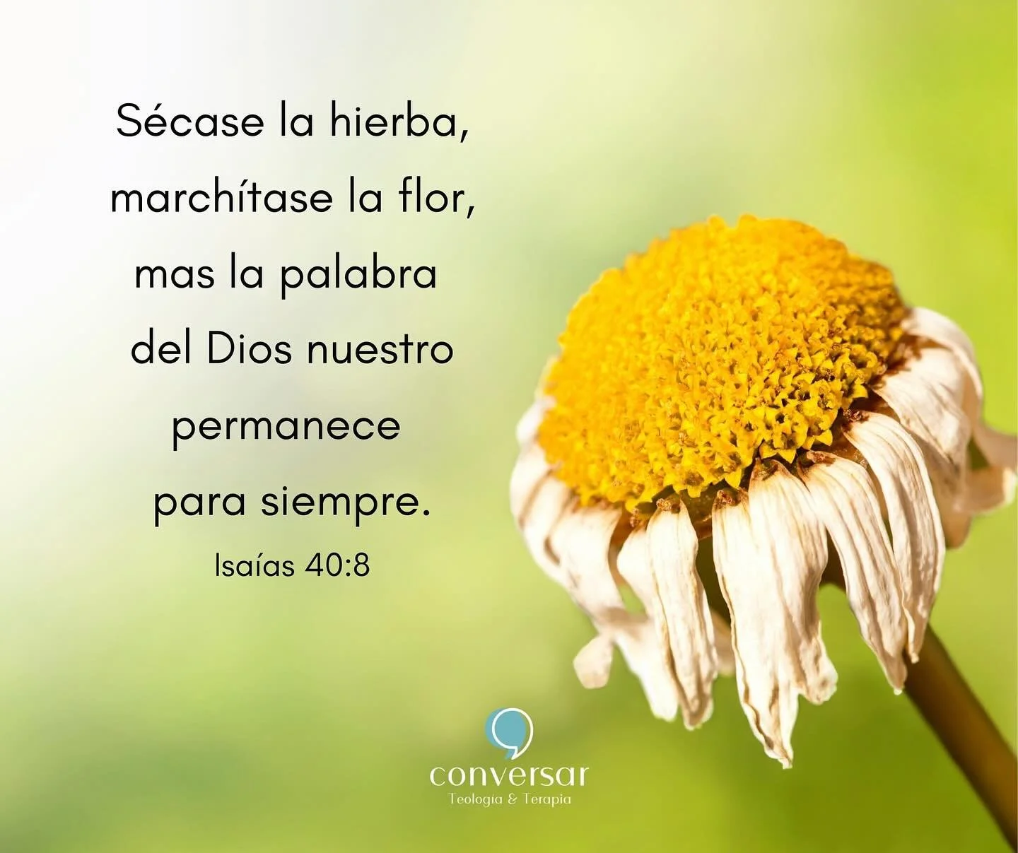 Cuesta que los seres humanos podamos entender que algo sea eterno, ya que todo en esta vida terrenal tiene un principio y un fin. Dios es el creador del cronos, pero no vive dentro de &eacute;l. La Palabra dice que &Eacute;l es quien &ldquo;muda los 
